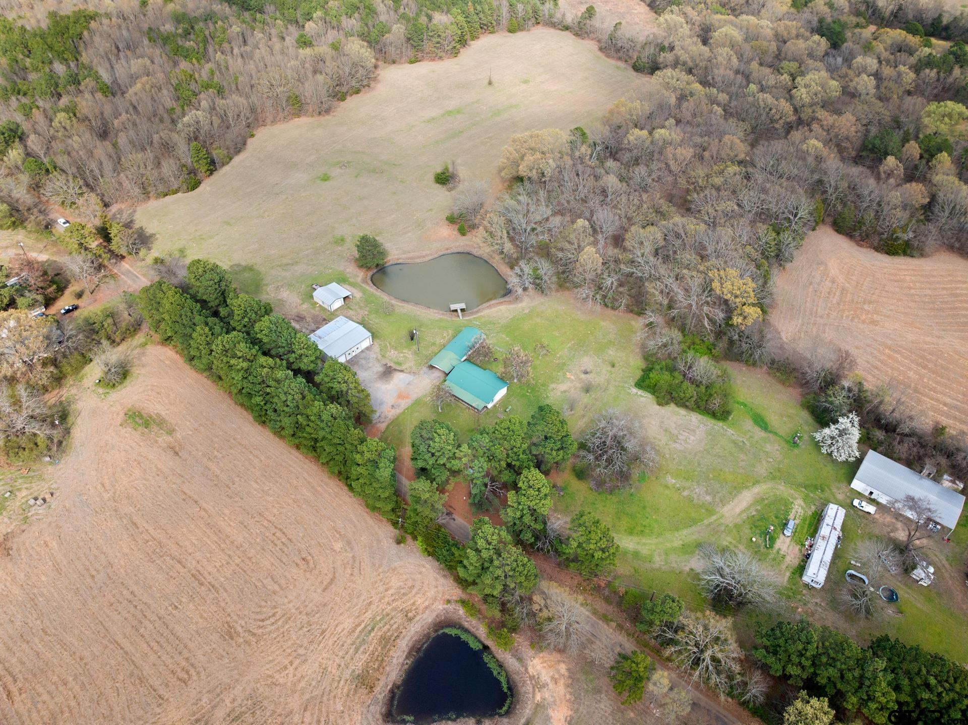 368 County Road 3360