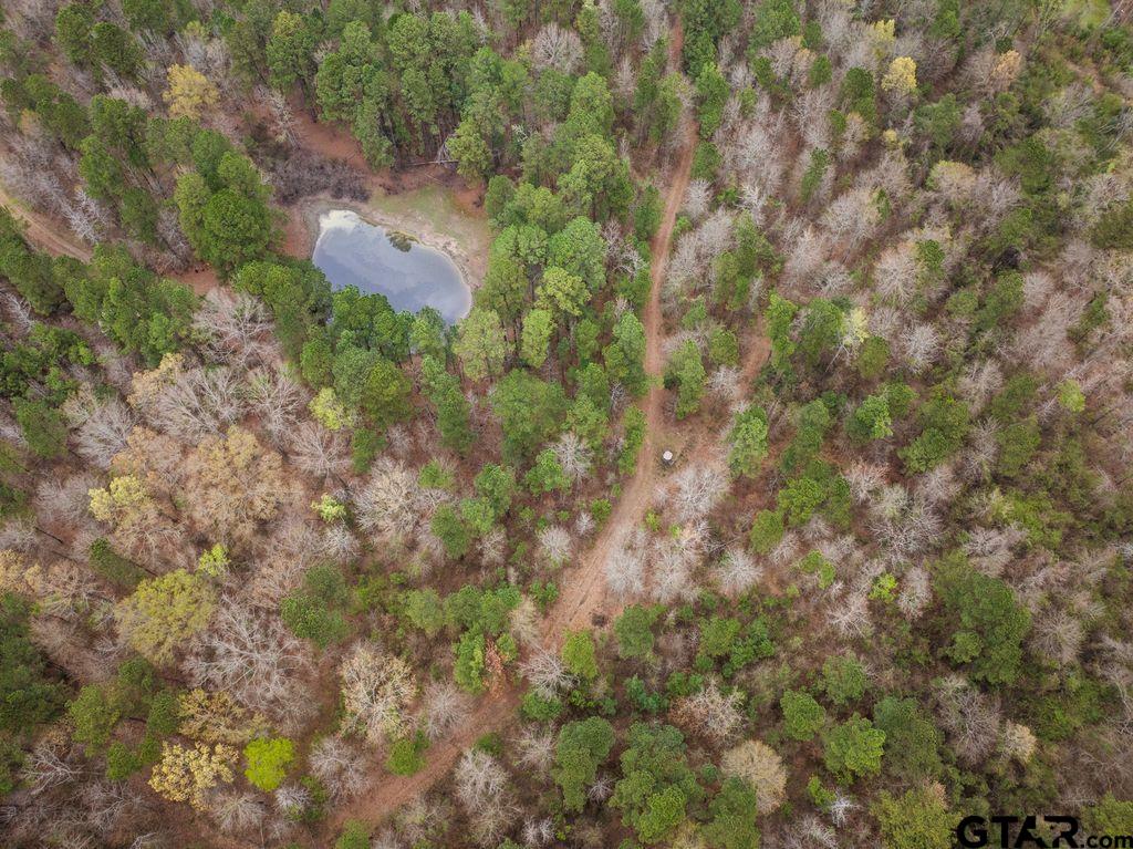 CR 1124 W Old HWY 11