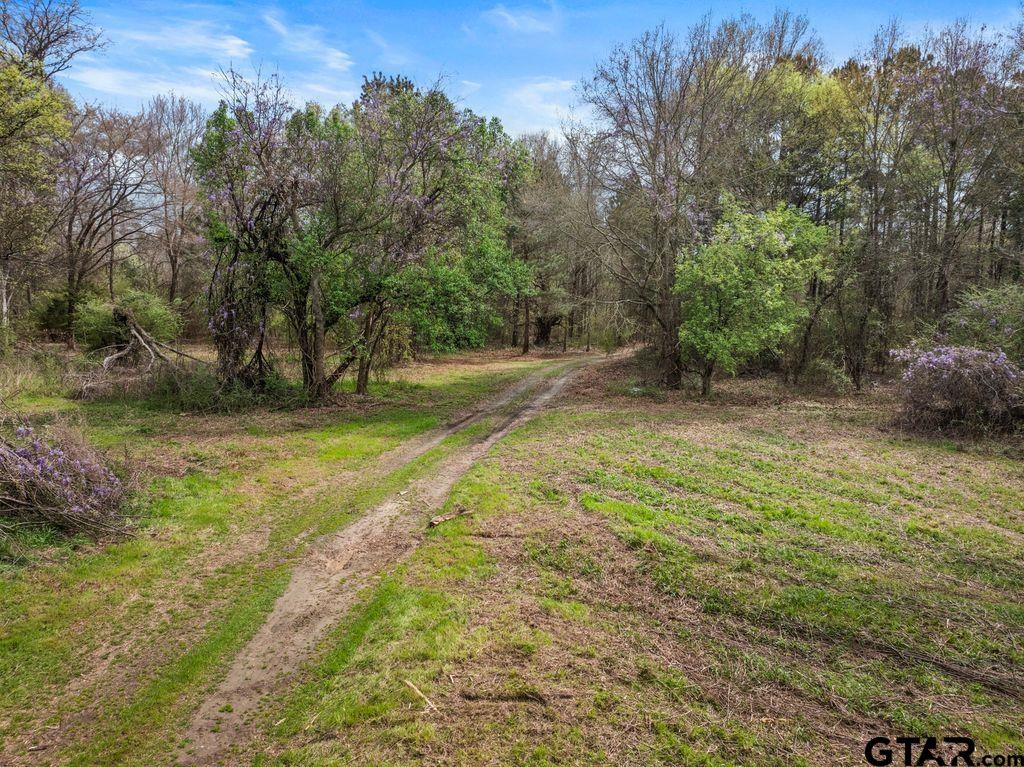 CR 1124 W Old HWY 11