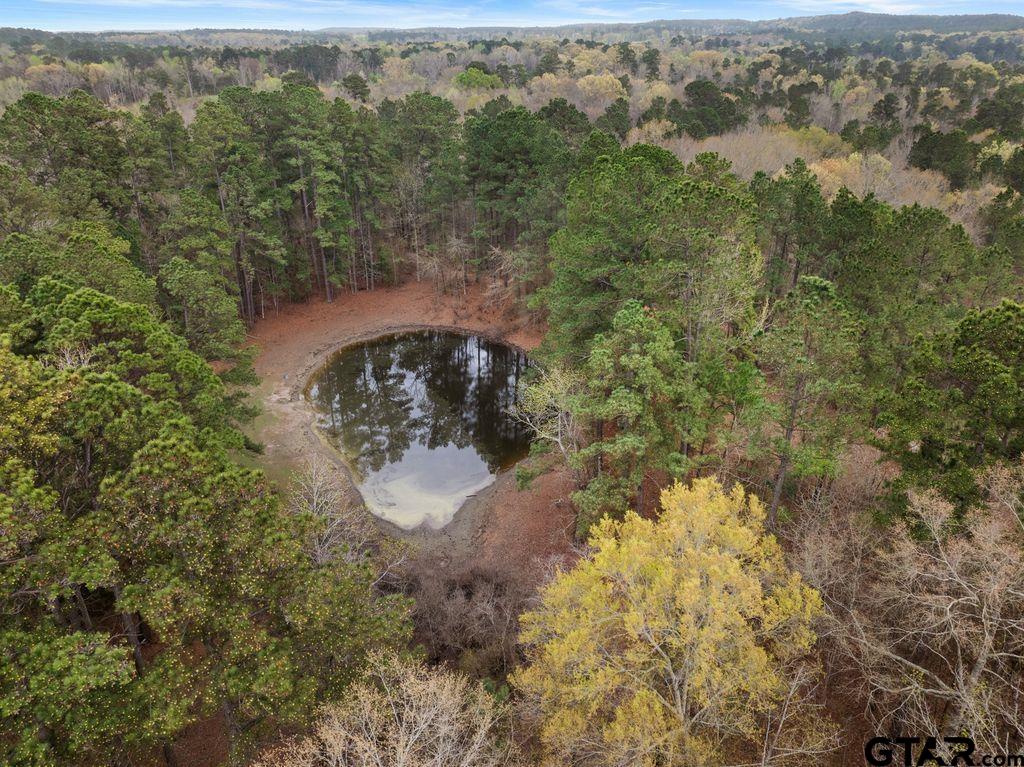 CR 1124 W Old HWY 11