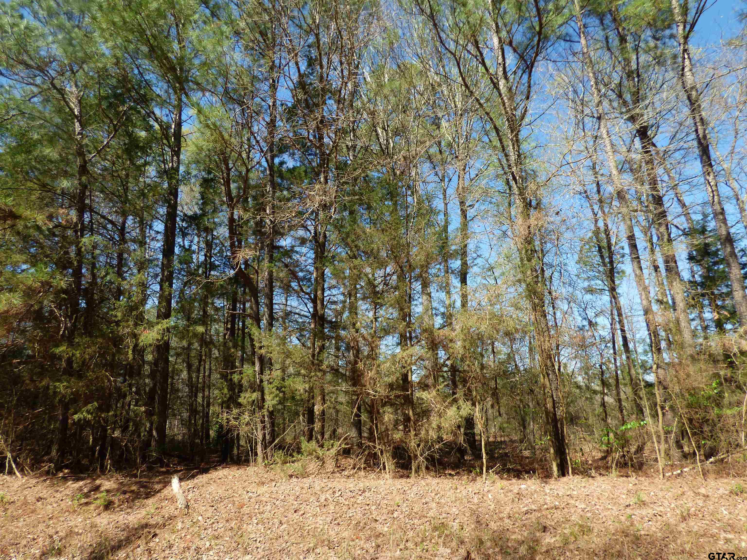 TBD County Road 3302