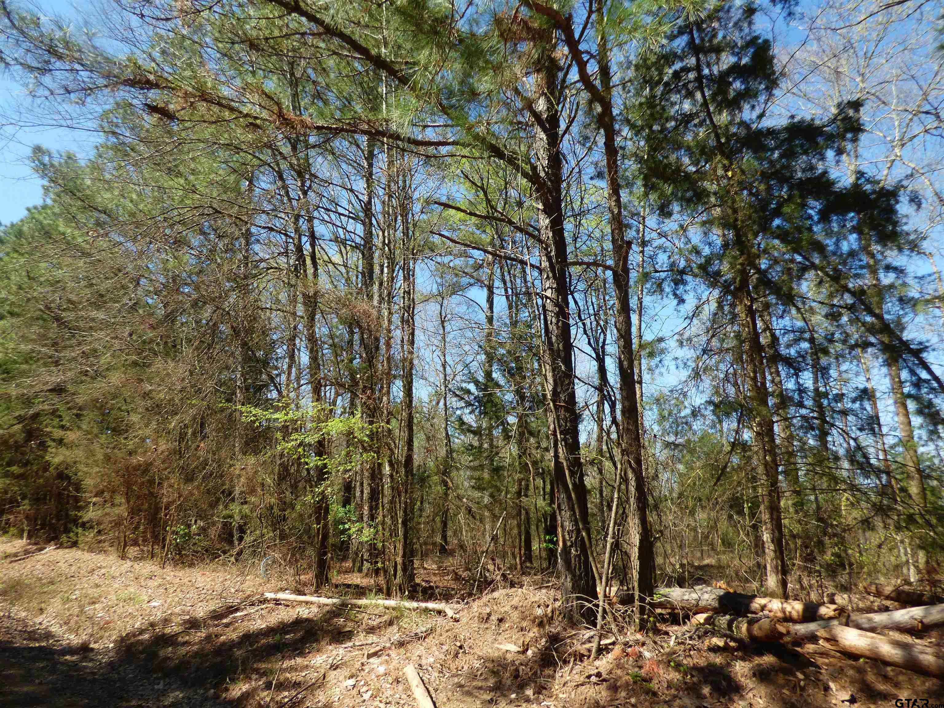 TBD County Road 3302