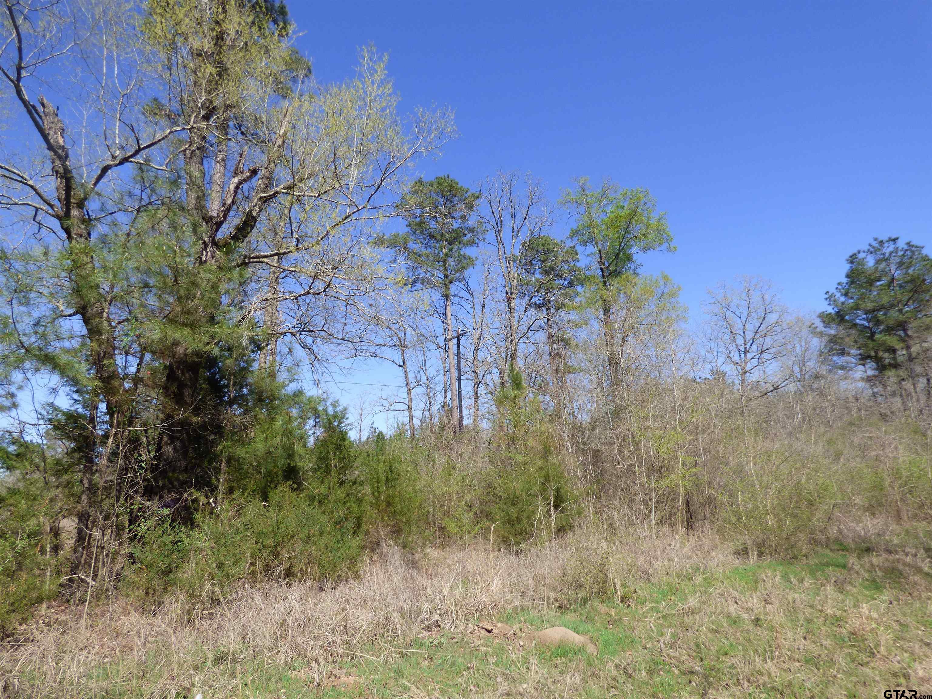 TBD County Road 3302