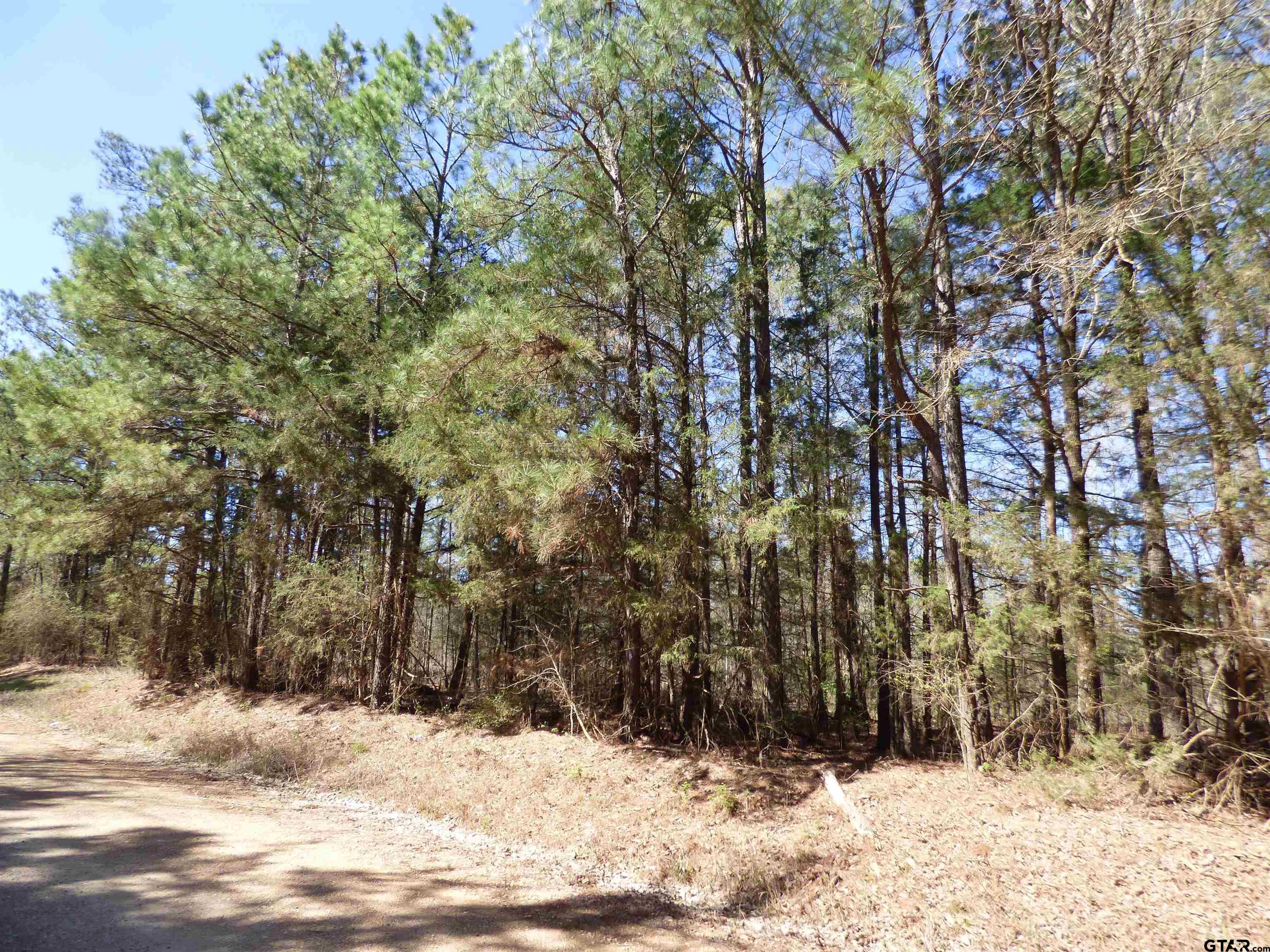 TBD County Road 3302