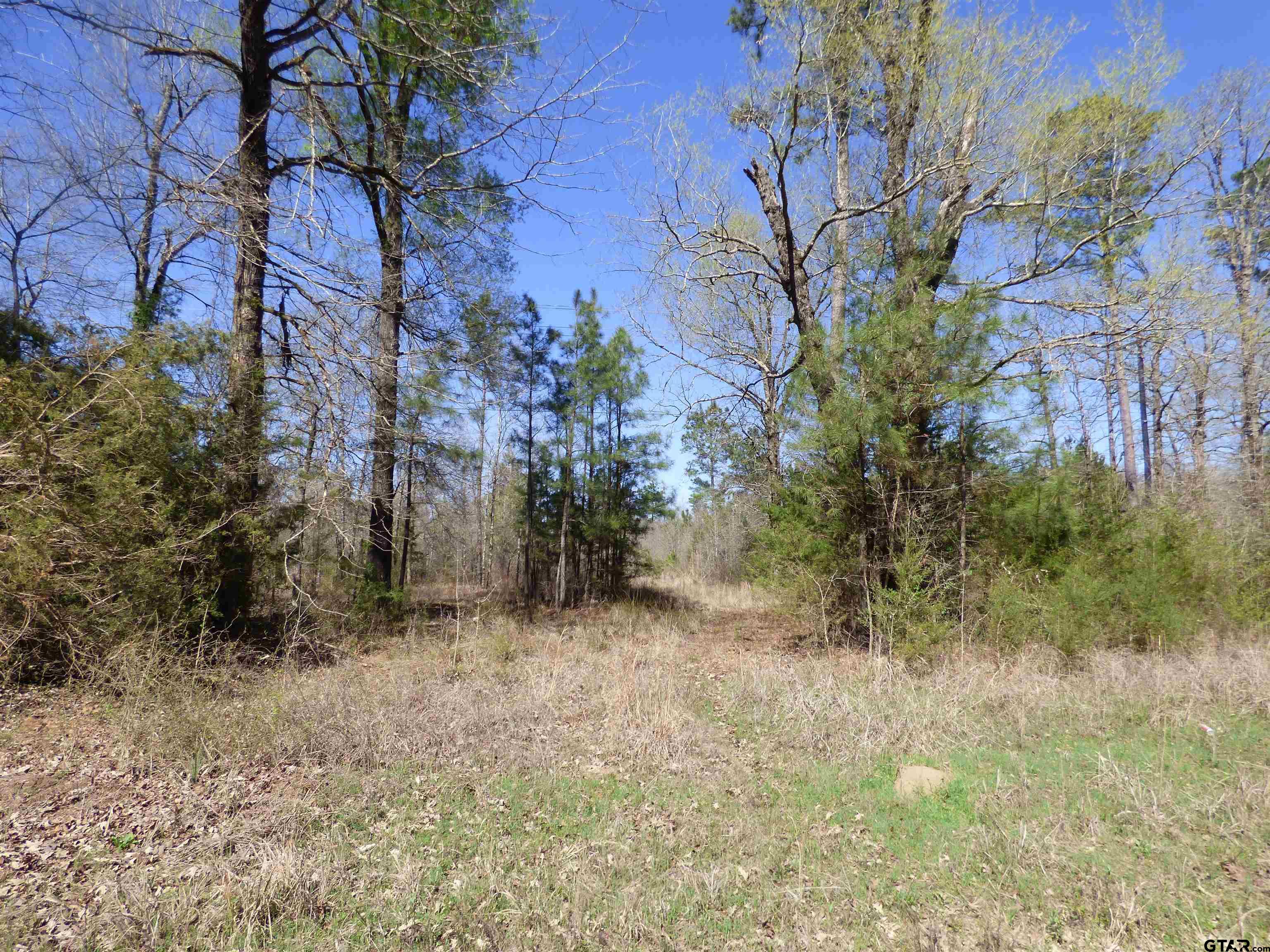 TBD County Road 3302