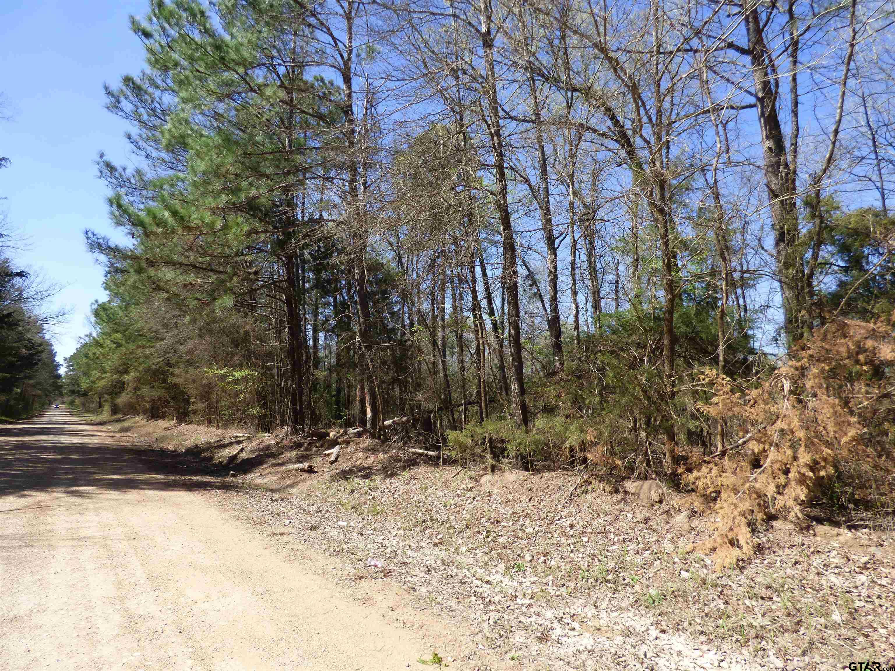 TBD County Road 3302