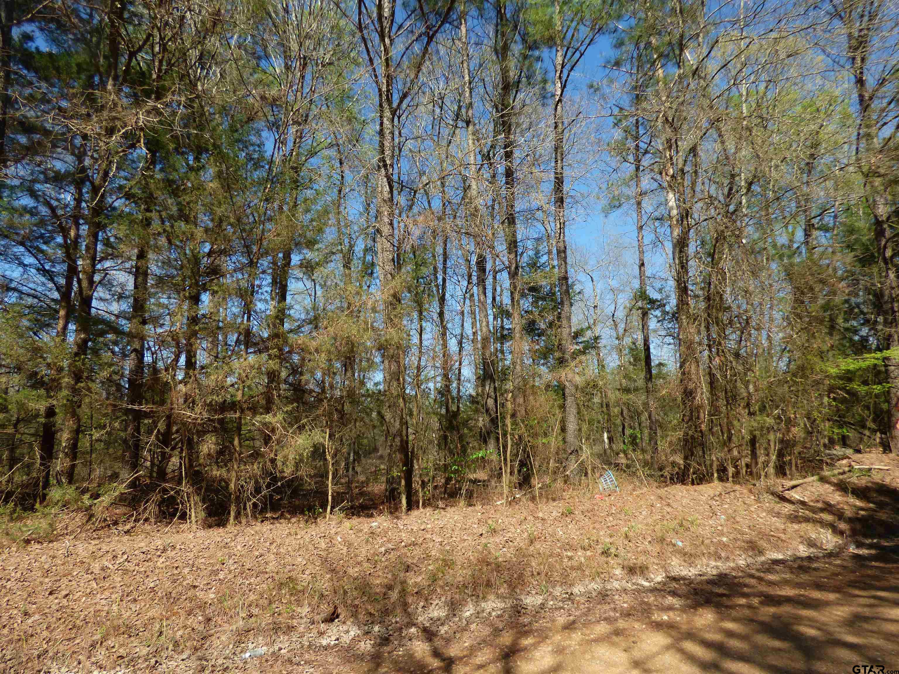 TBD County Road 3302