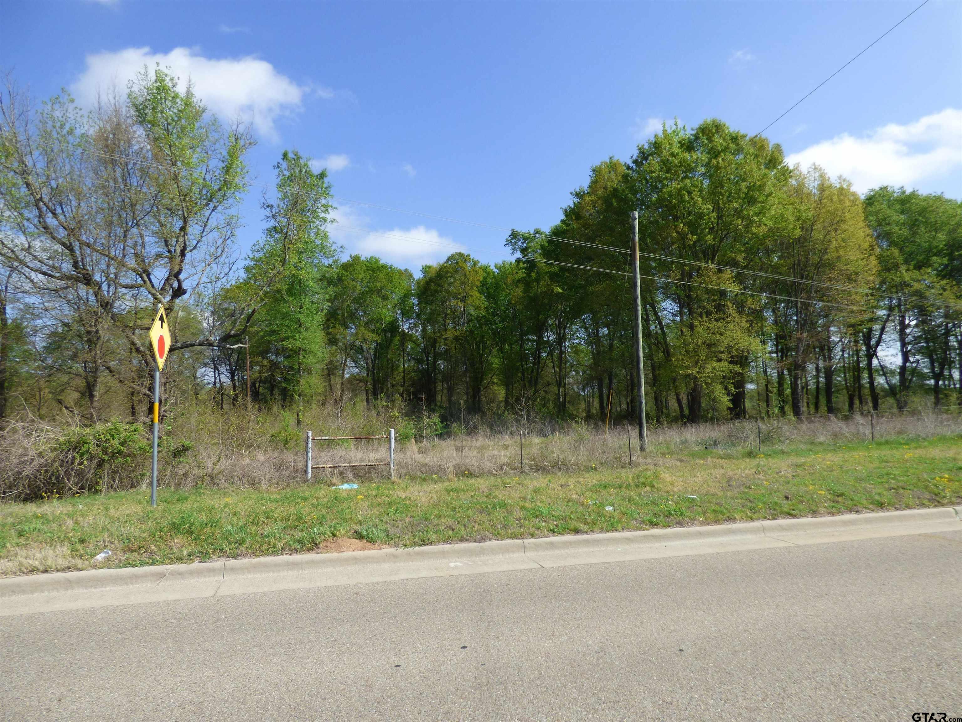 TBD Billy Daniel Parkway