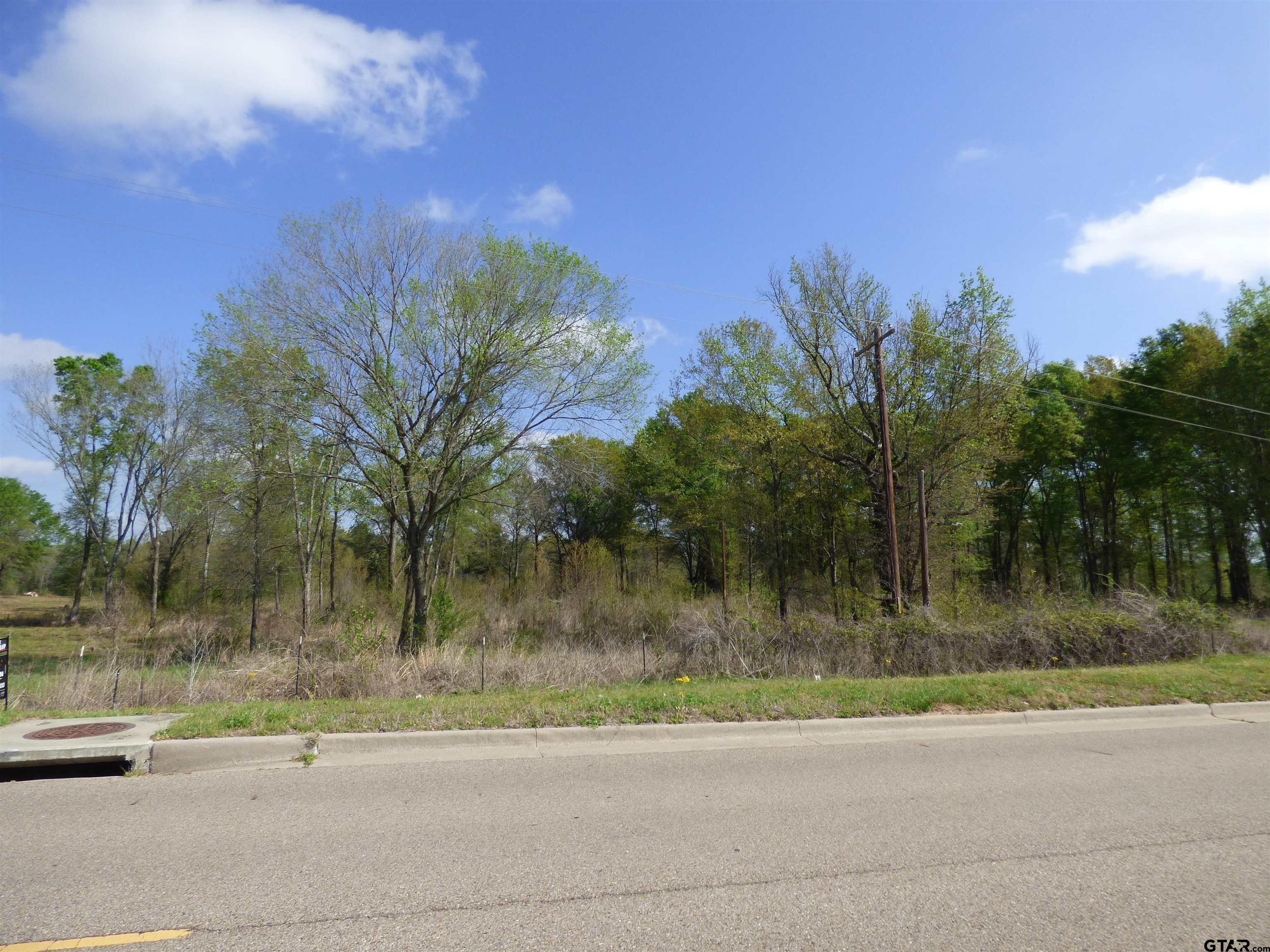 TBD Billy Daniel Parkway