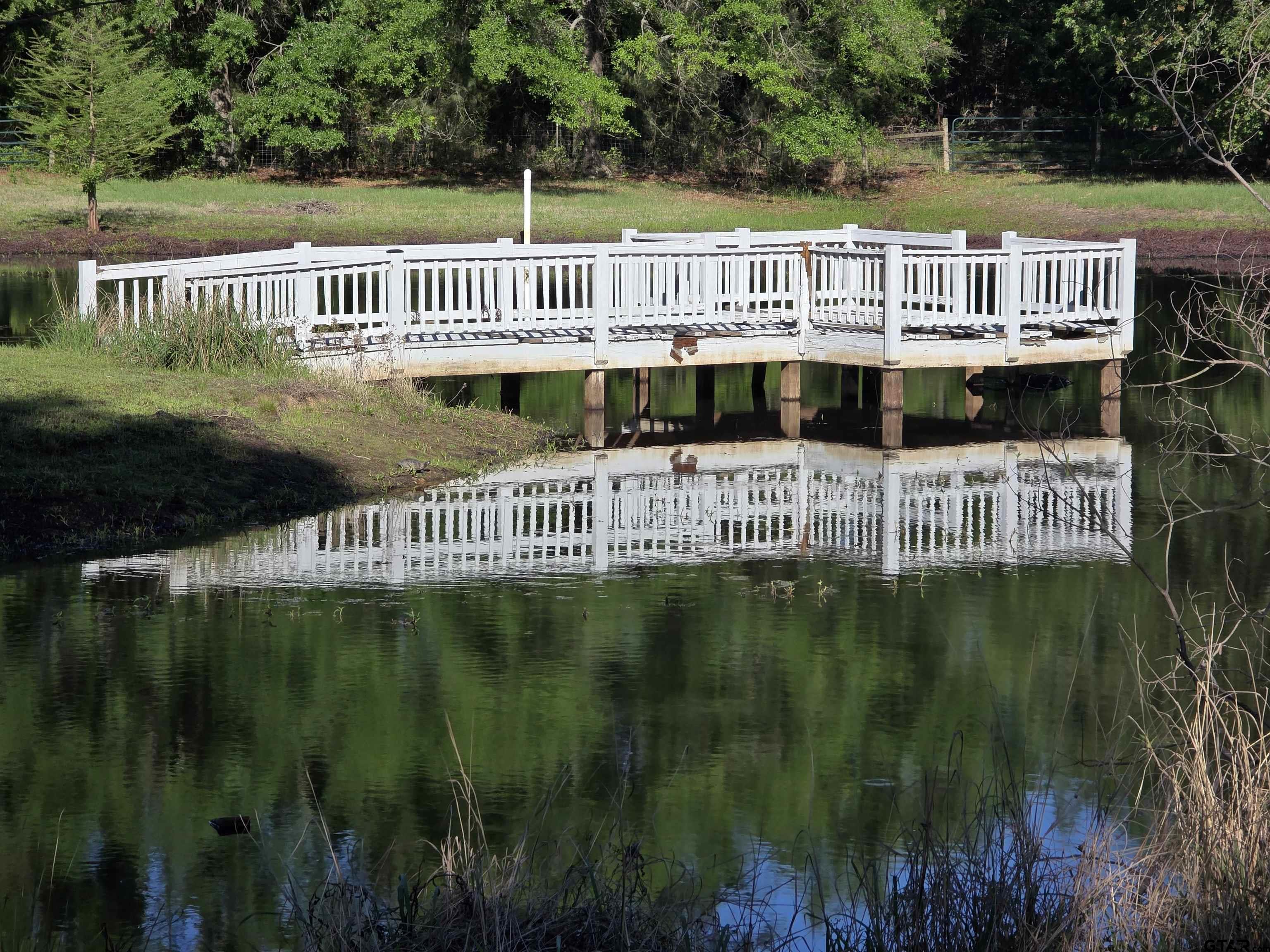 244 County Road 2321