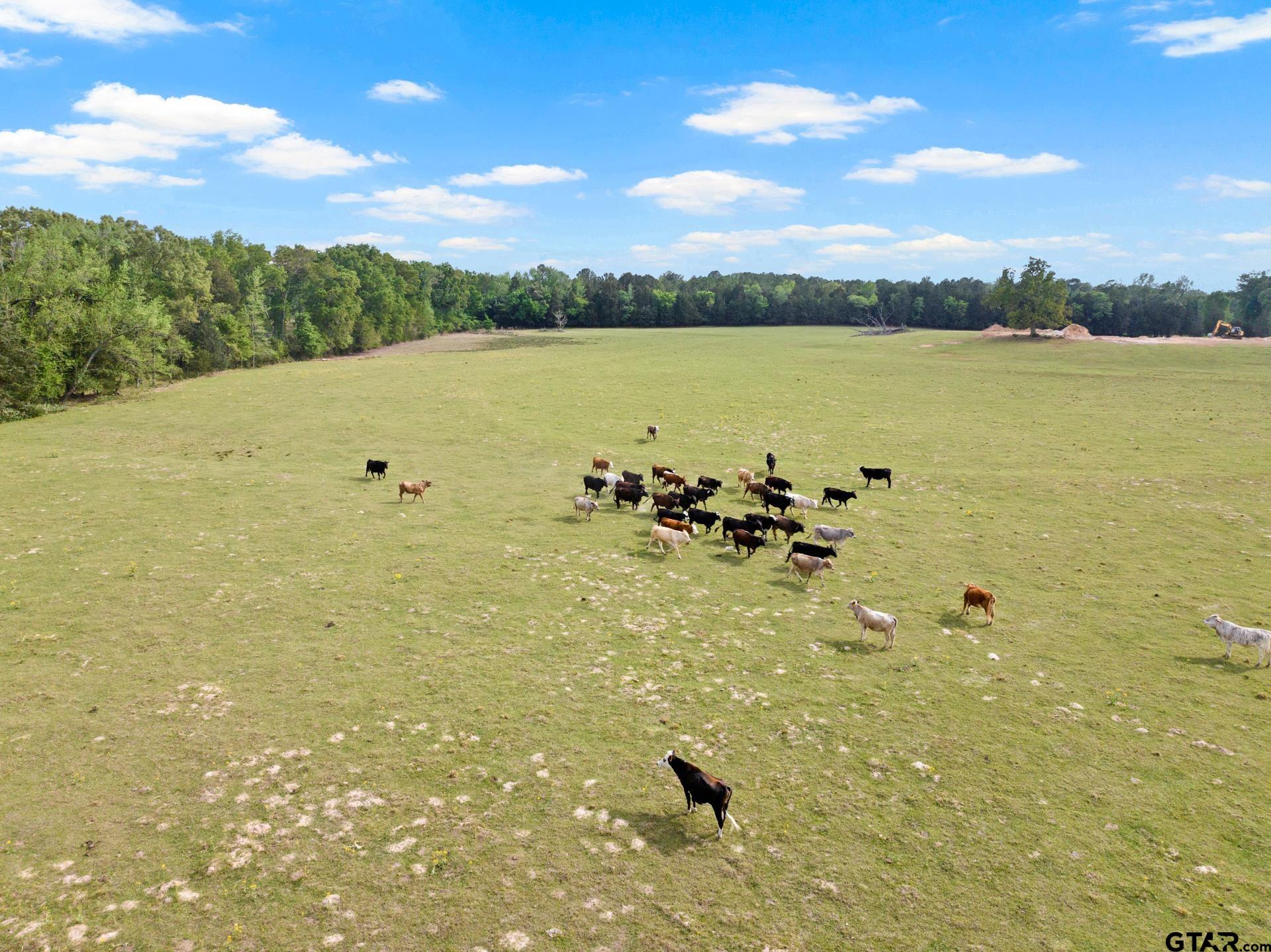 1018 County Road 4287