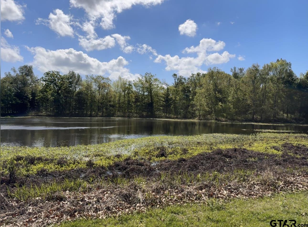 514 County Road 1475