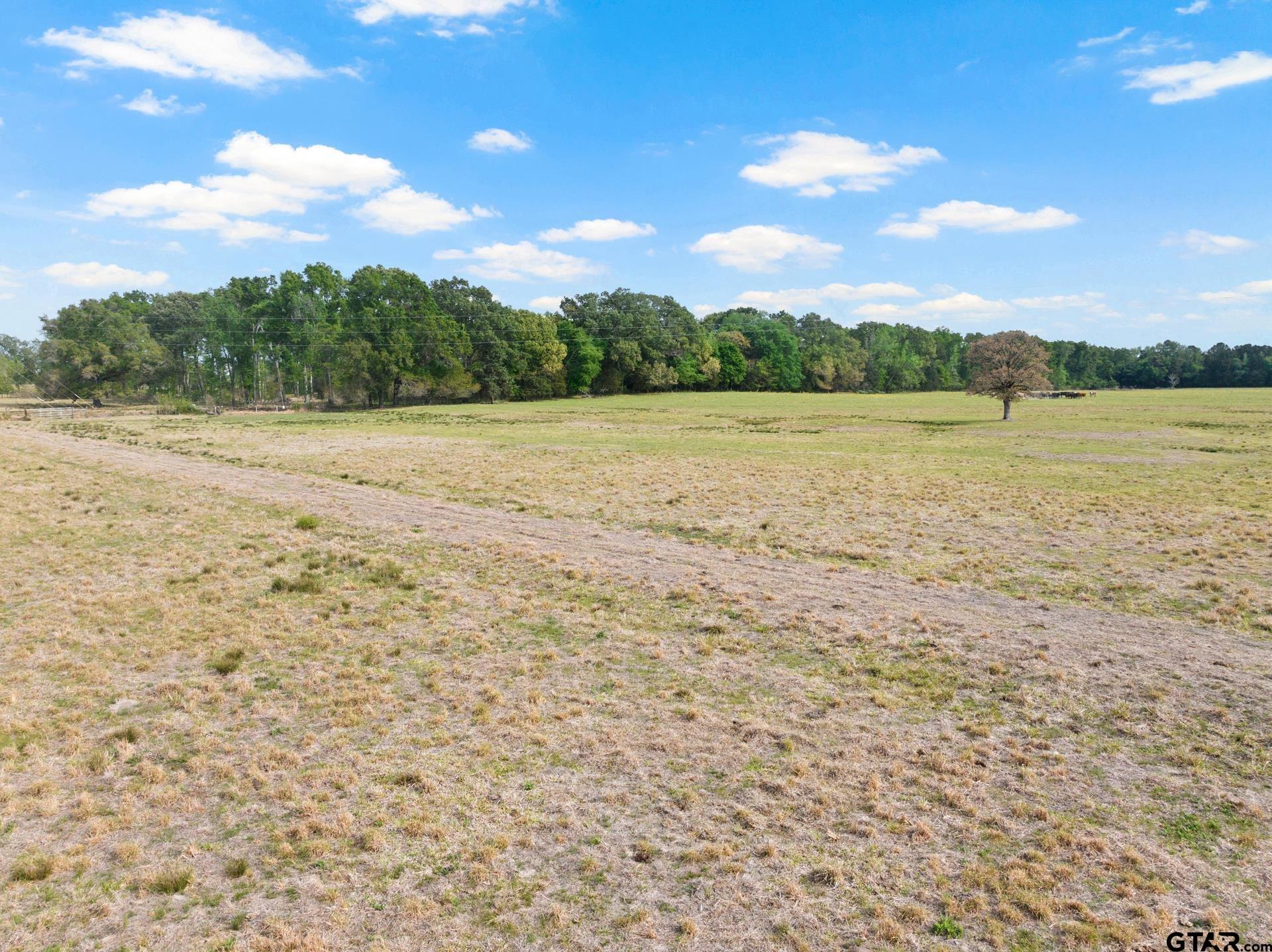 1018 County Road 4287