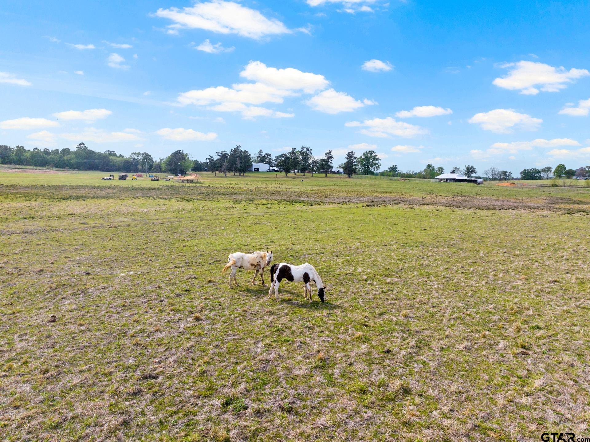 1018 County Road 4287