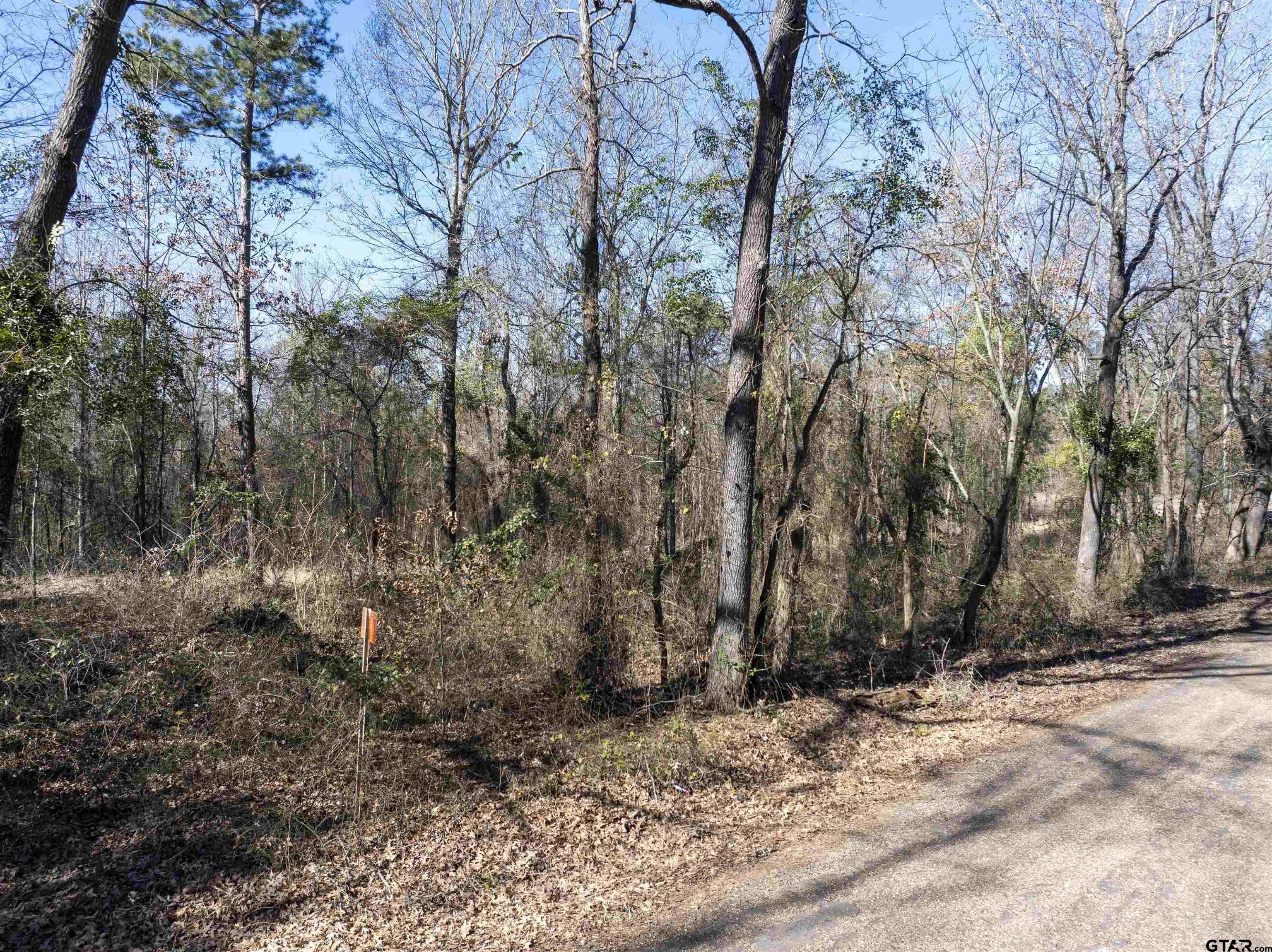 TBD County Road 4246