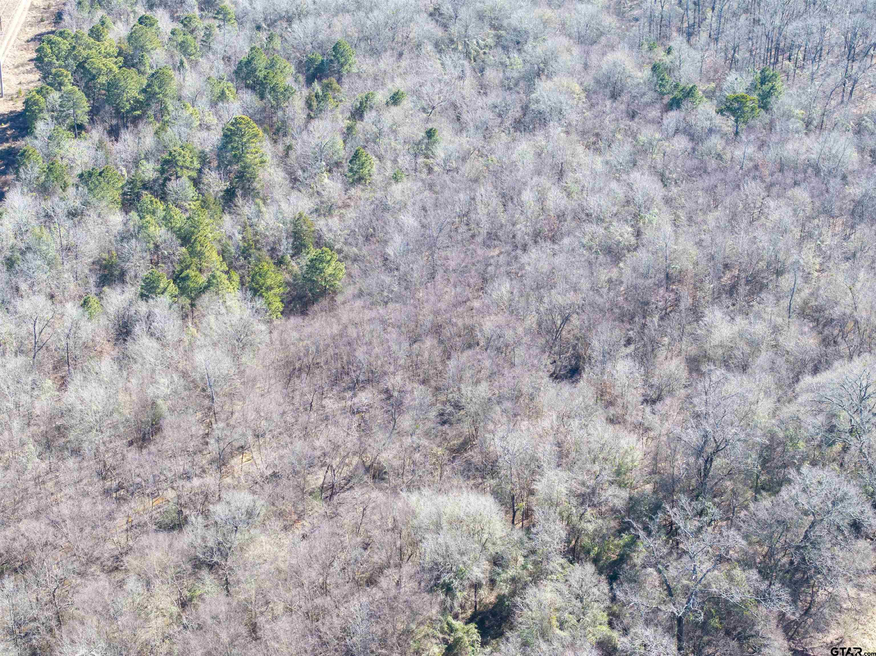 TBD County Road 4246