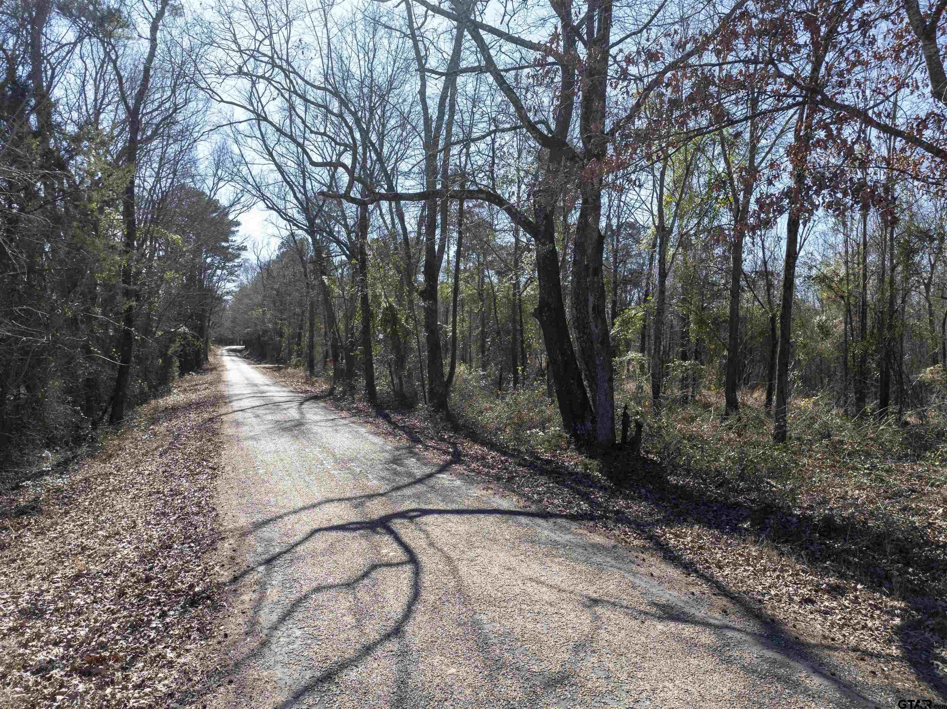 TBD County Road 4246