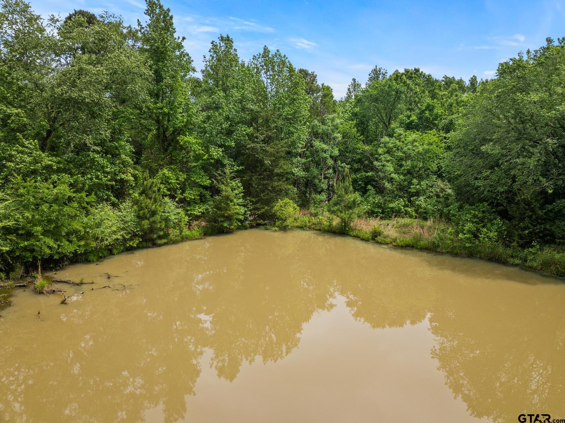 000 County Road 3322