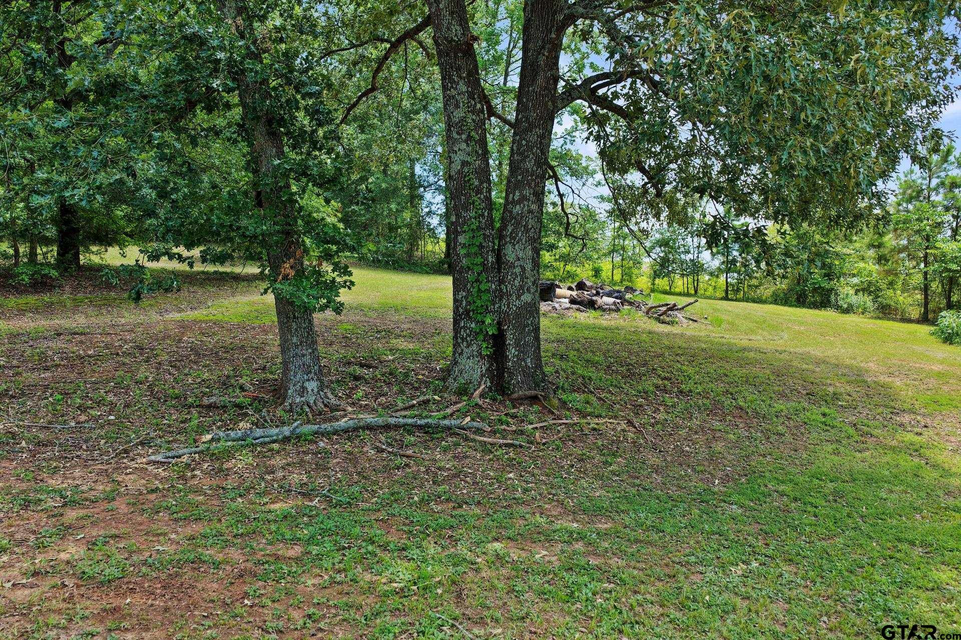 276 County Road 4335