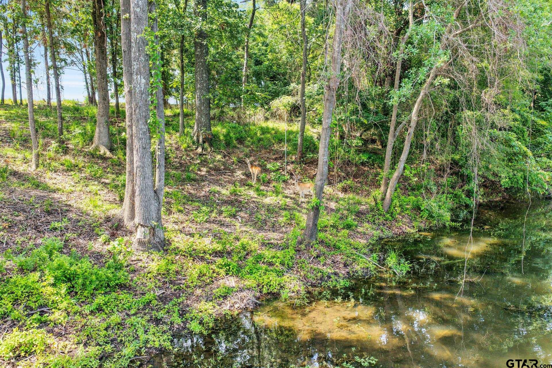 Lot 70 Private Road 2712