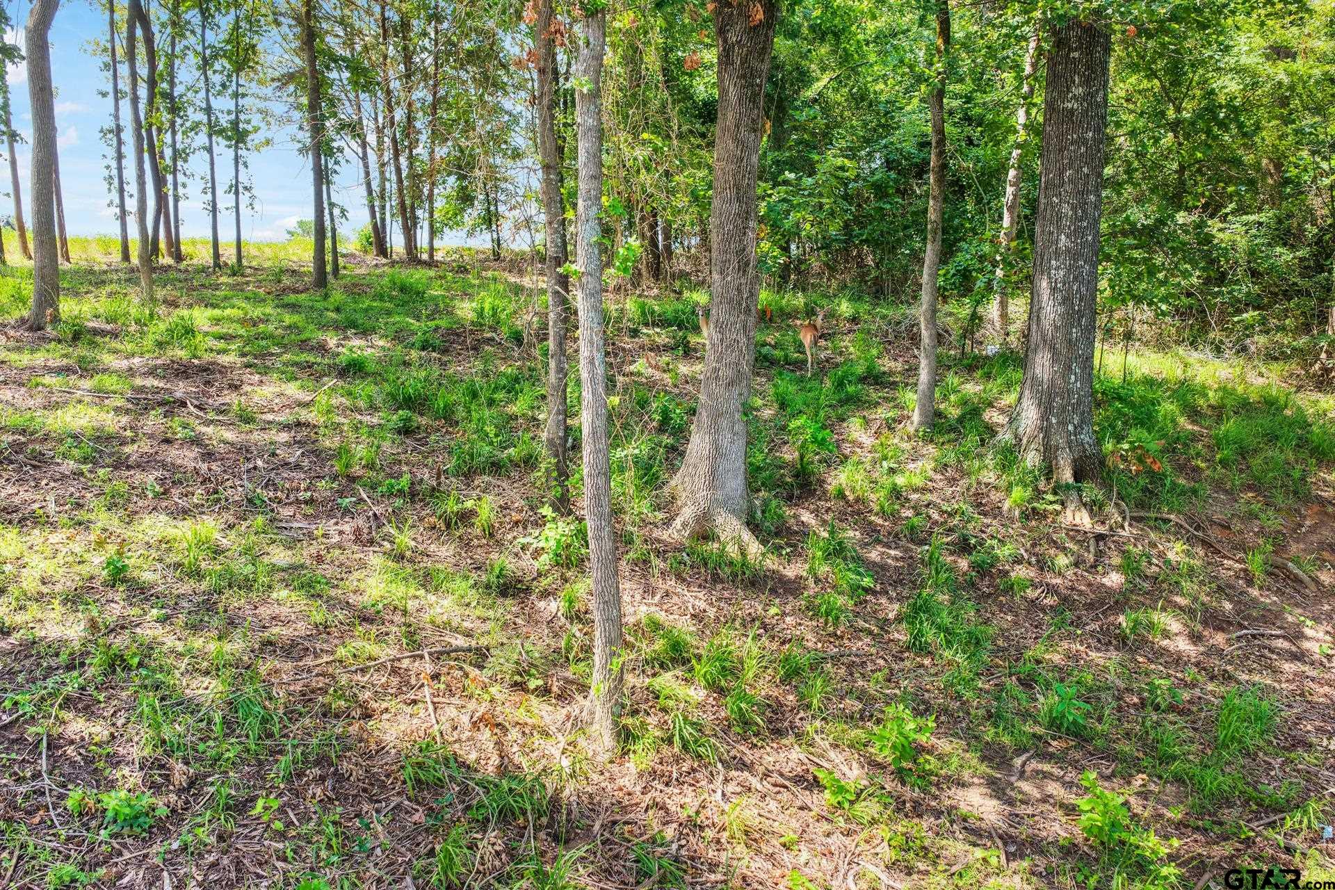 Lot 70 Private Road 2712
