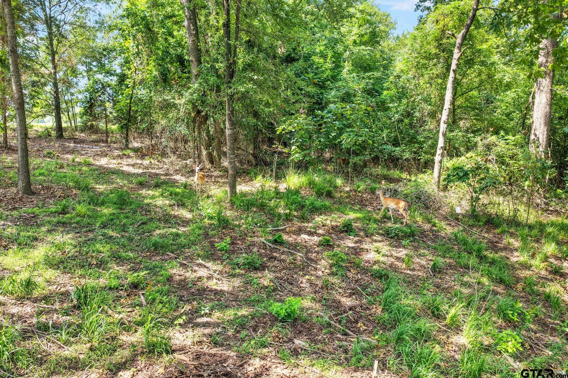 Lot 70 Private Road 2712