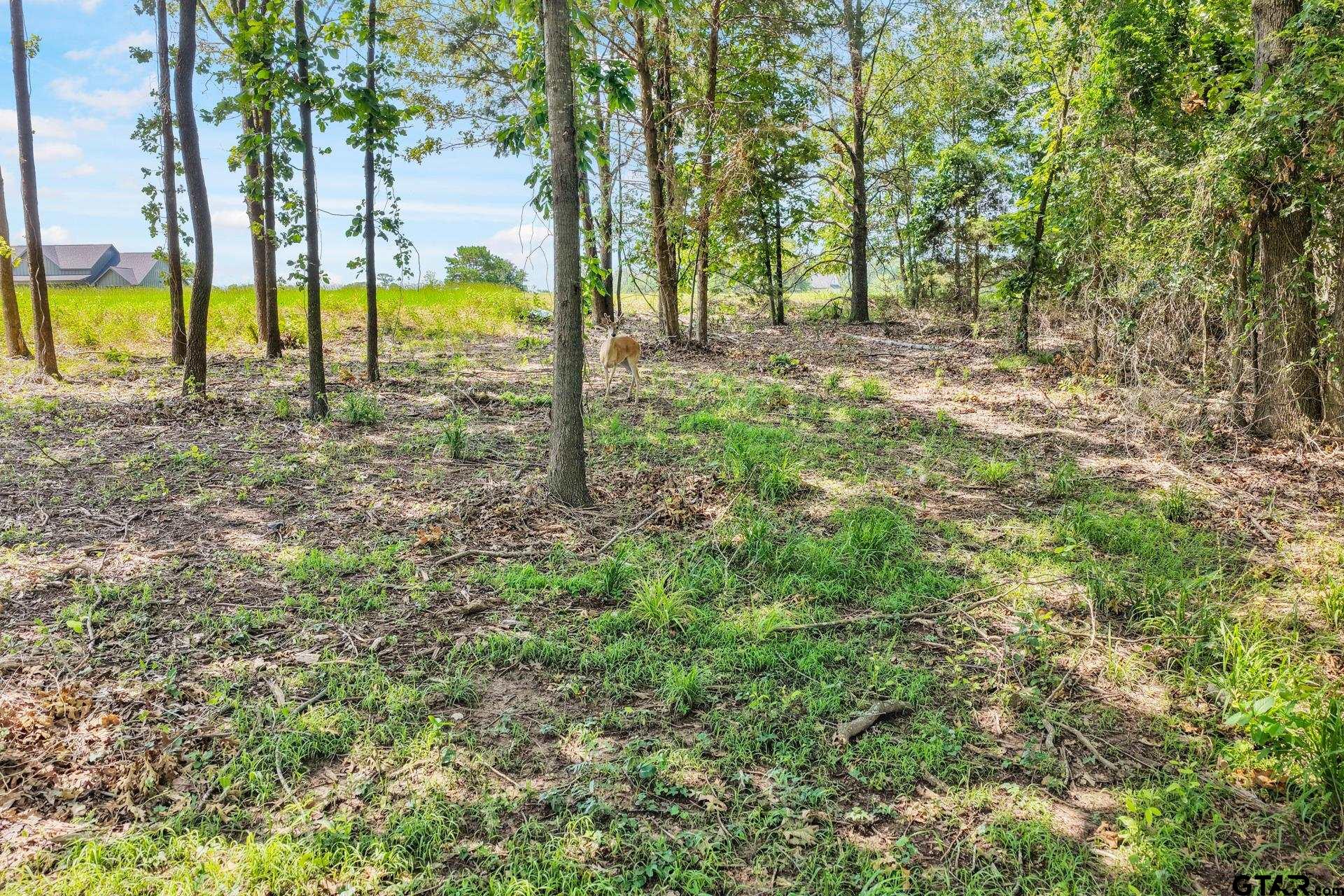 Lot 70 Private Road 2712