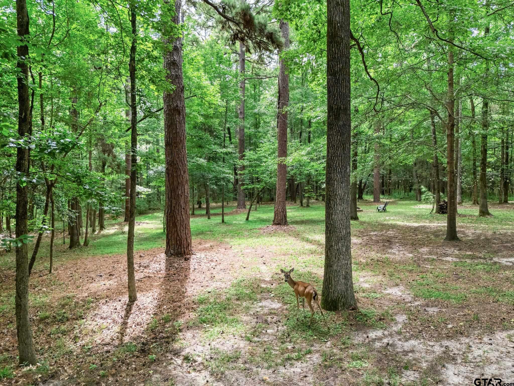 237 County Road 1525