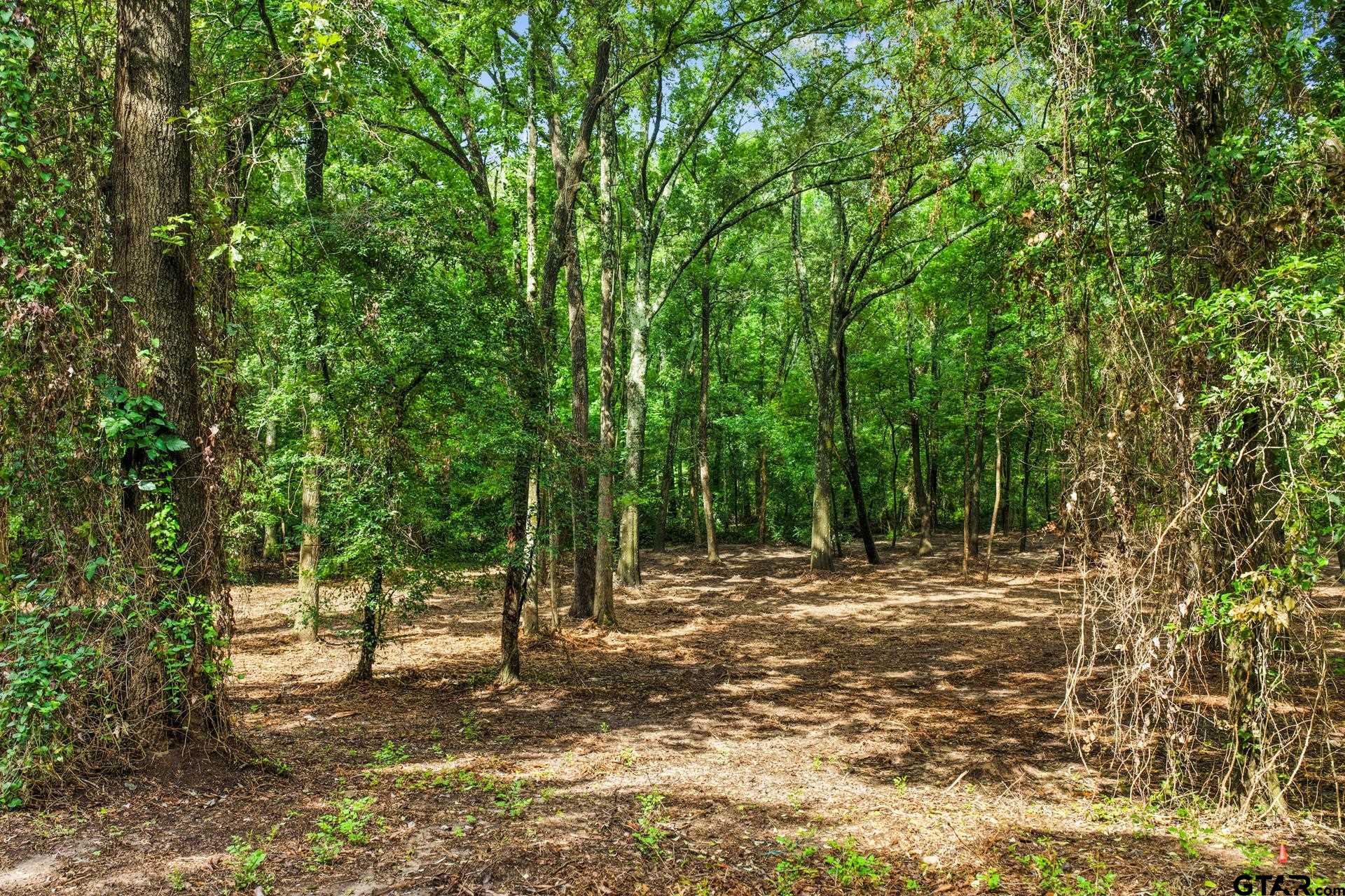 133 Sandy Lake