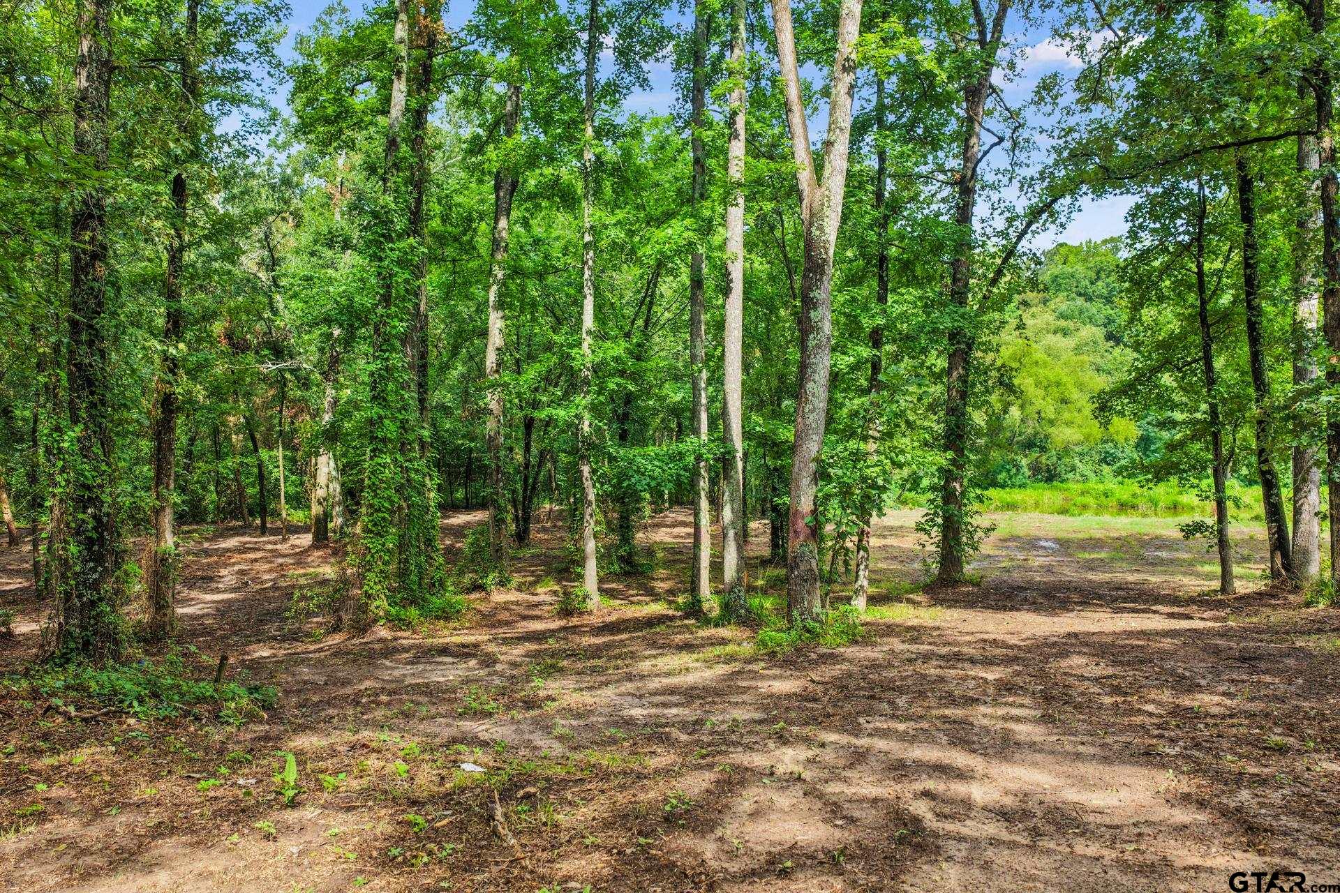 133 Sandy Lake