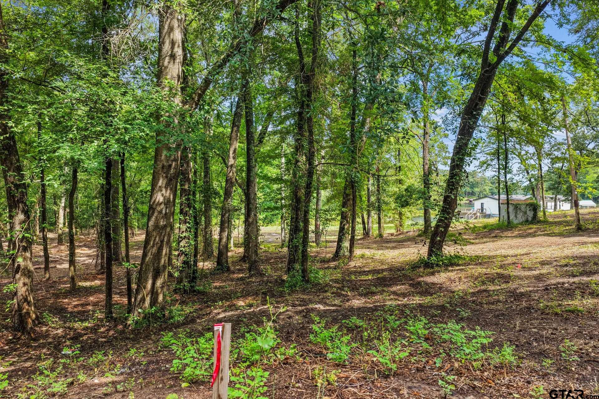133 Sandy Lake