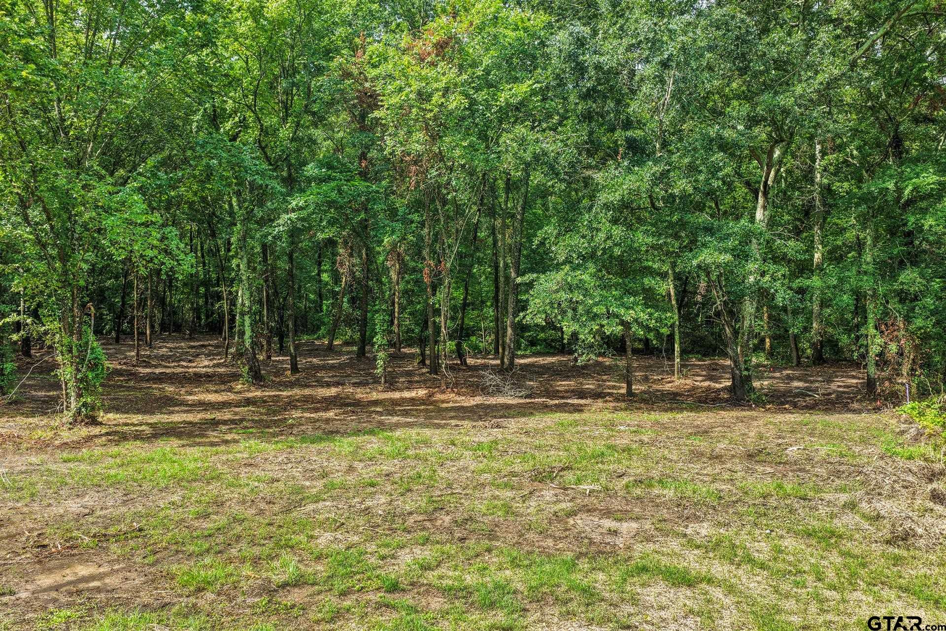 133 Sandy Lake