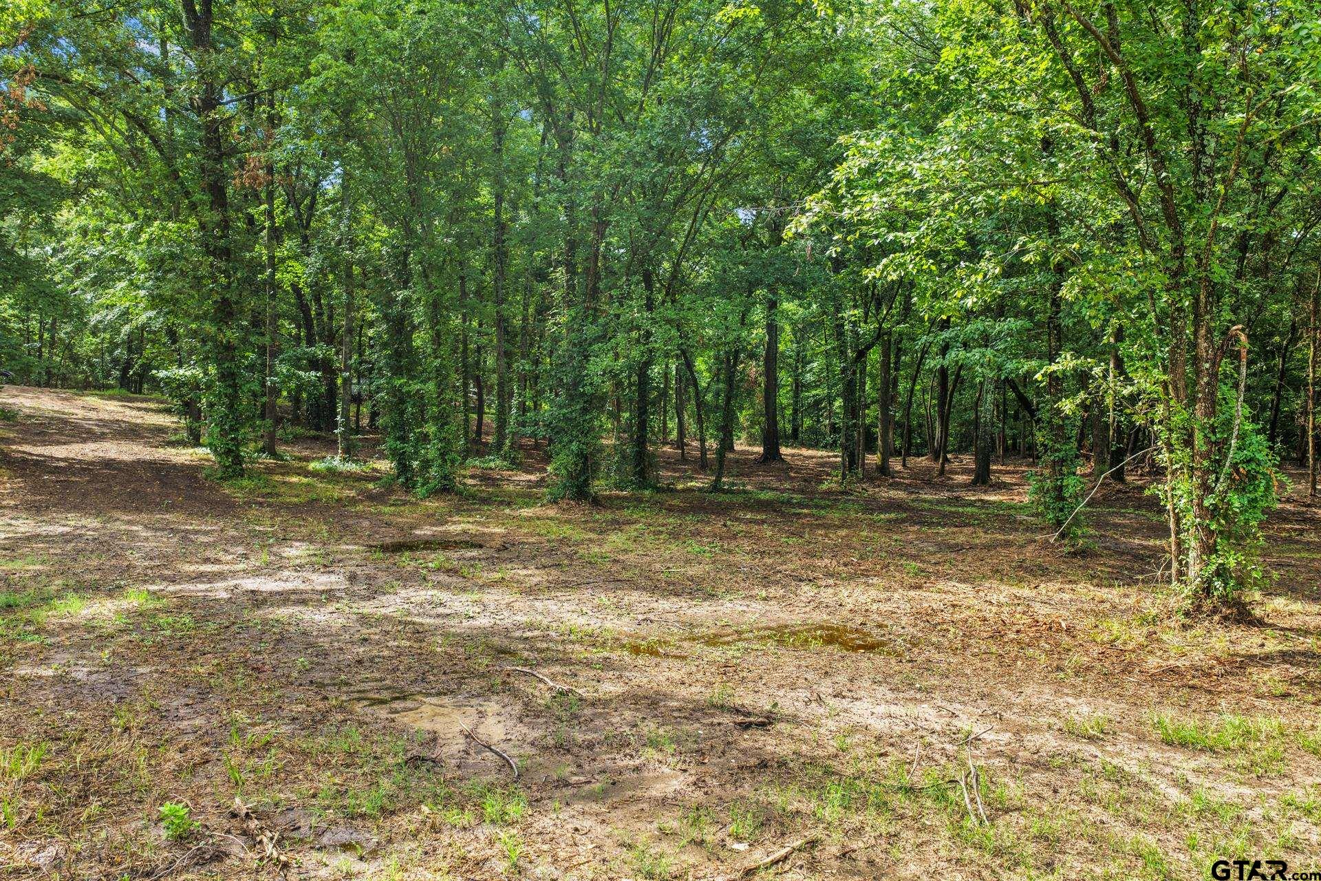 133 Sandy Lake