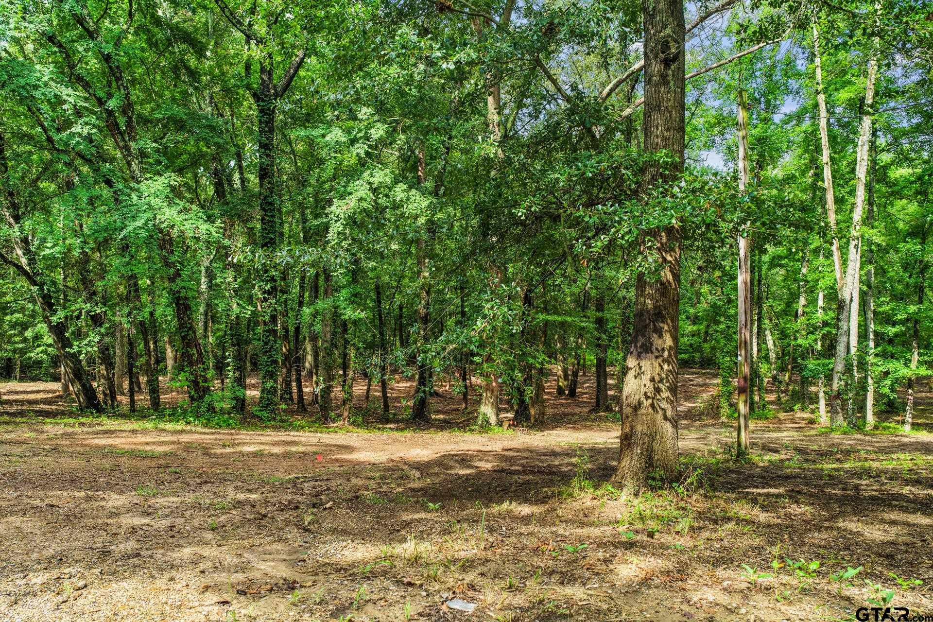 133 Sandy Lake