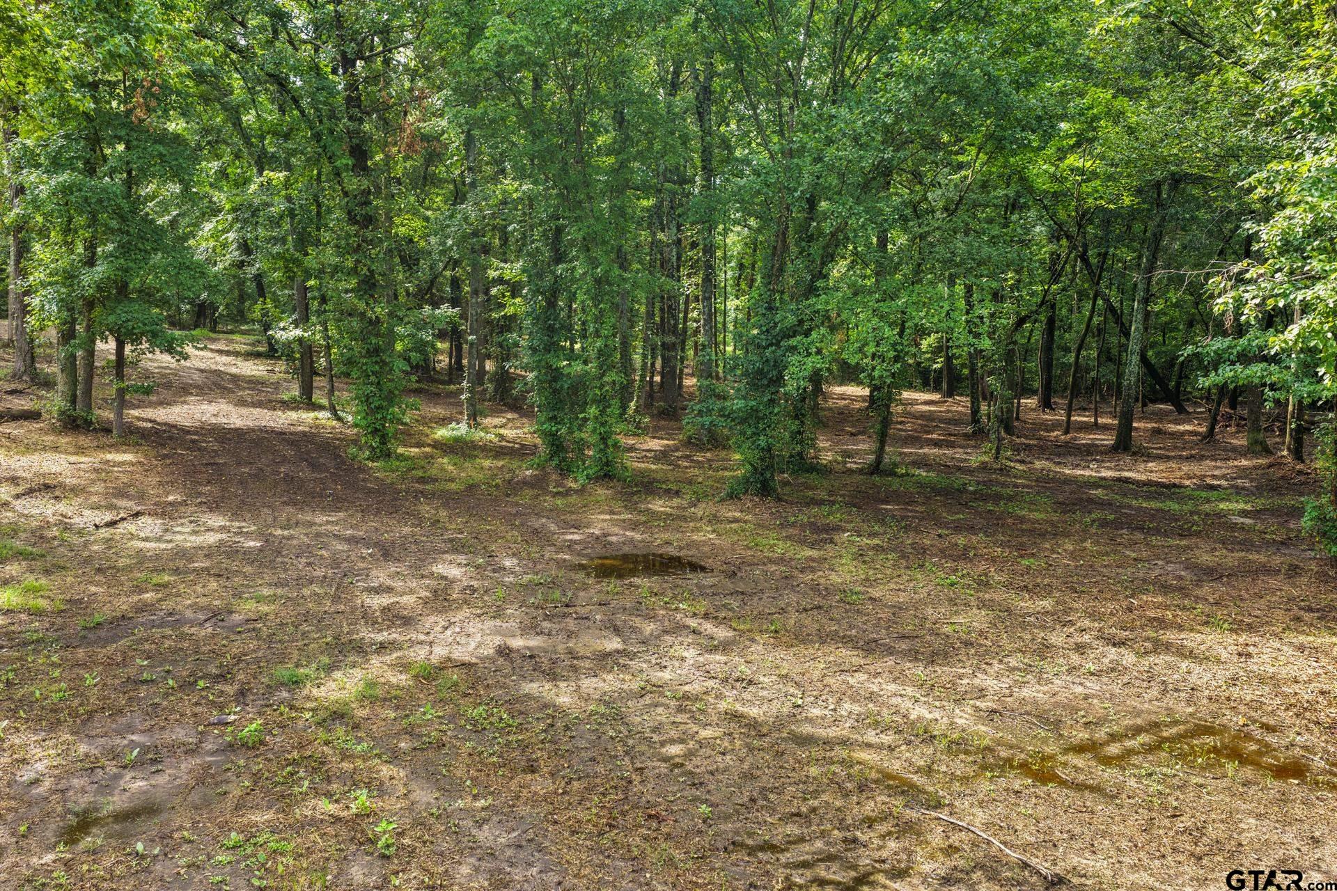 133 Sandy Lake