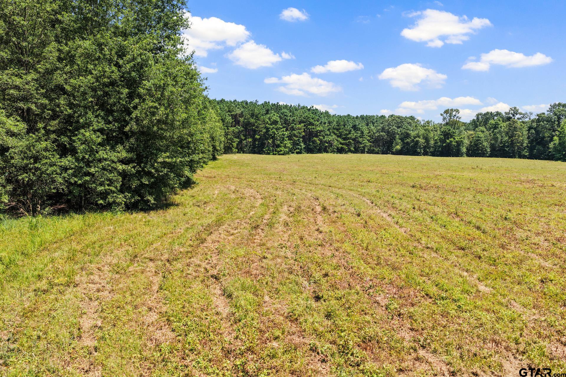 TBD CR 4309