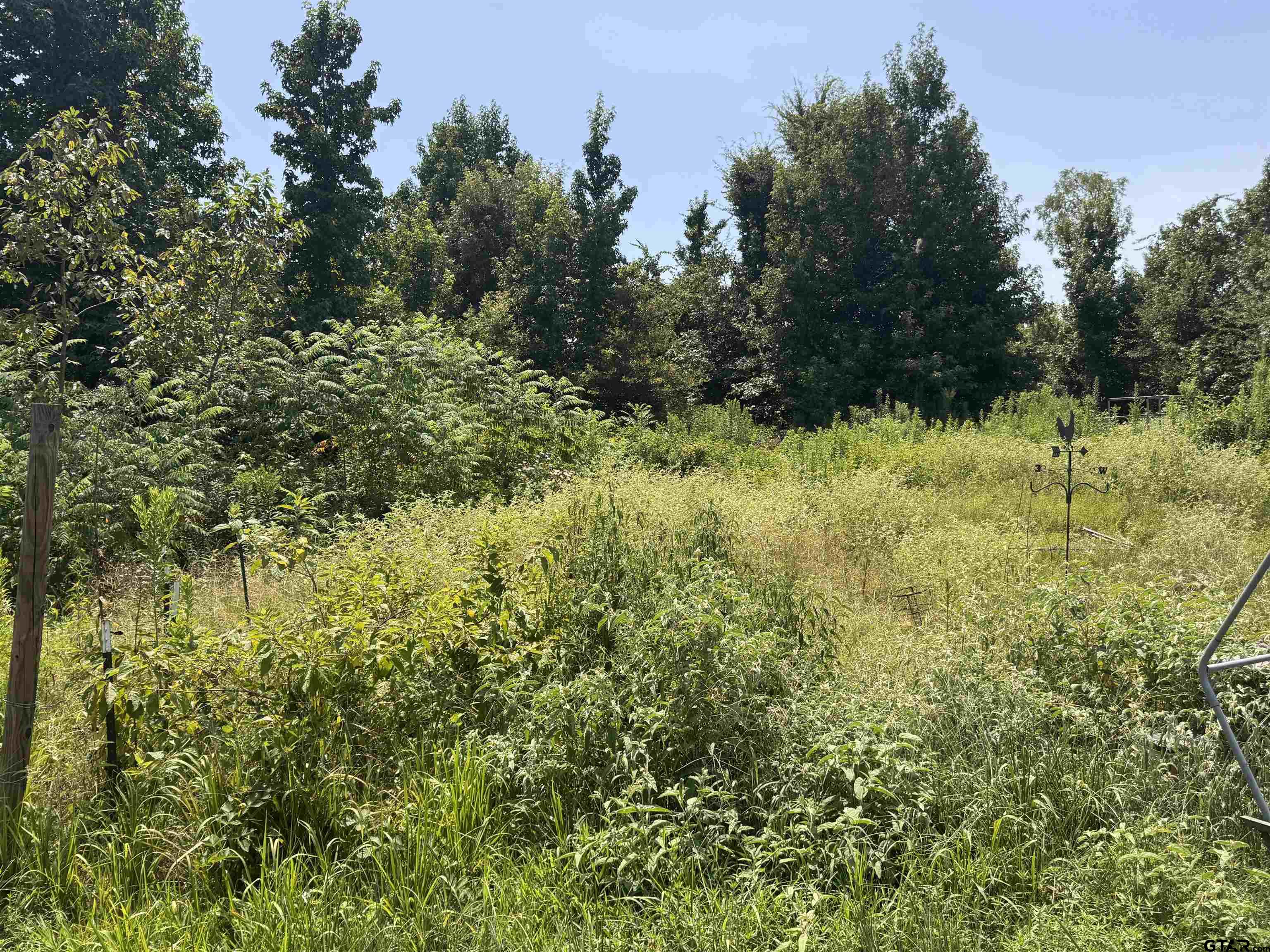 551 Pleasure Point Rd