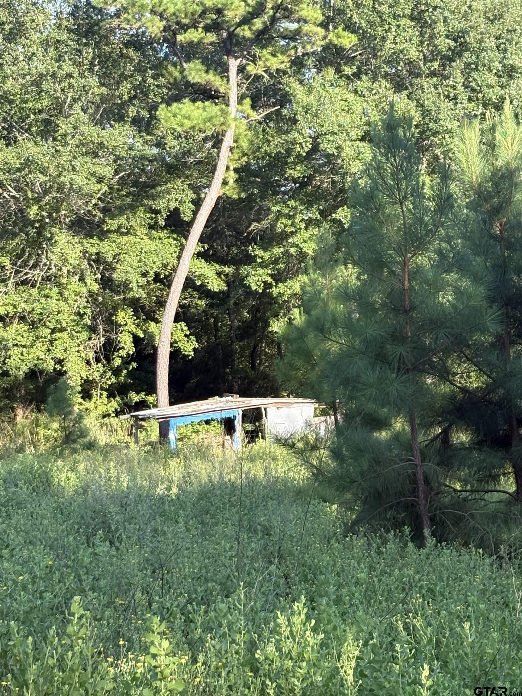 15531 Hwy 135