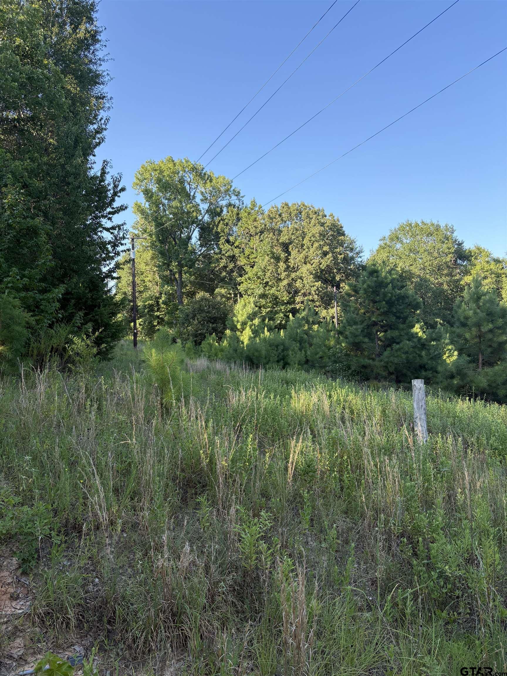 15531 Hwy 135