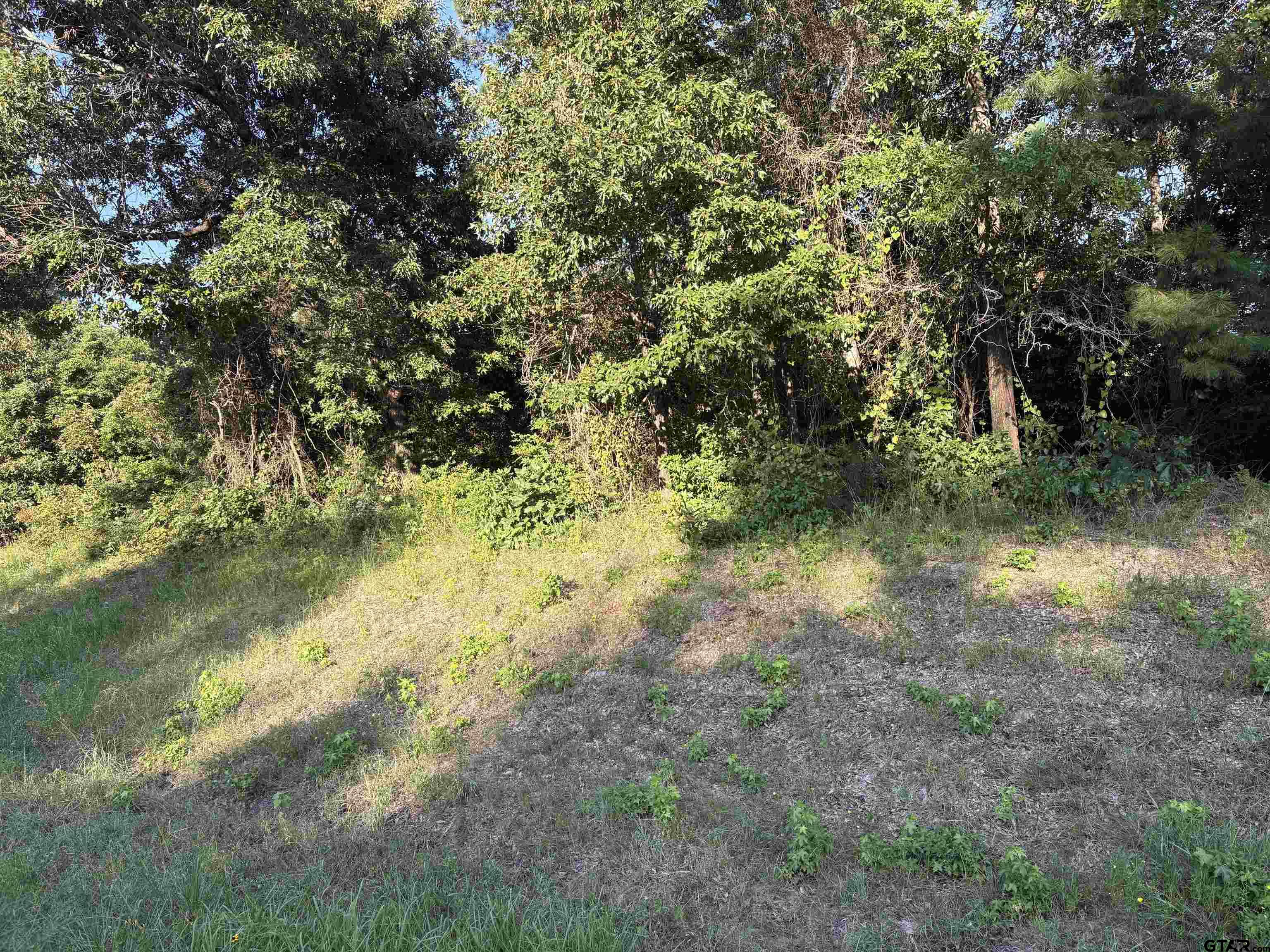 15531 Hwy 135