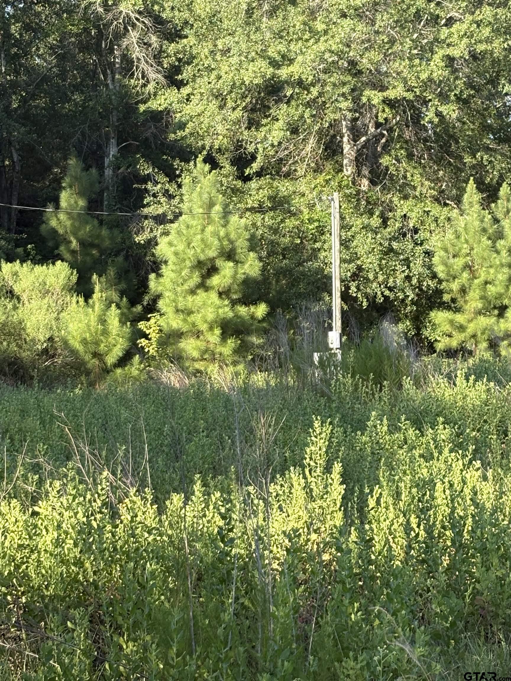 15531 Hwy 135