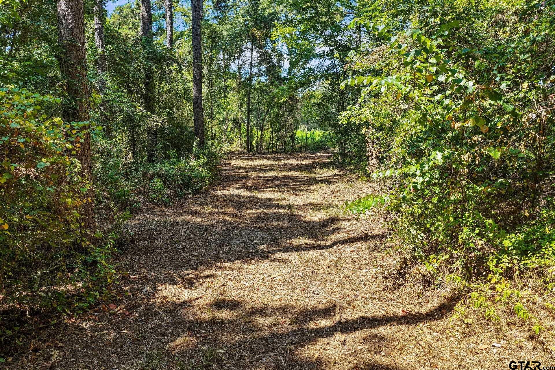 Lot 1 County Road 1240