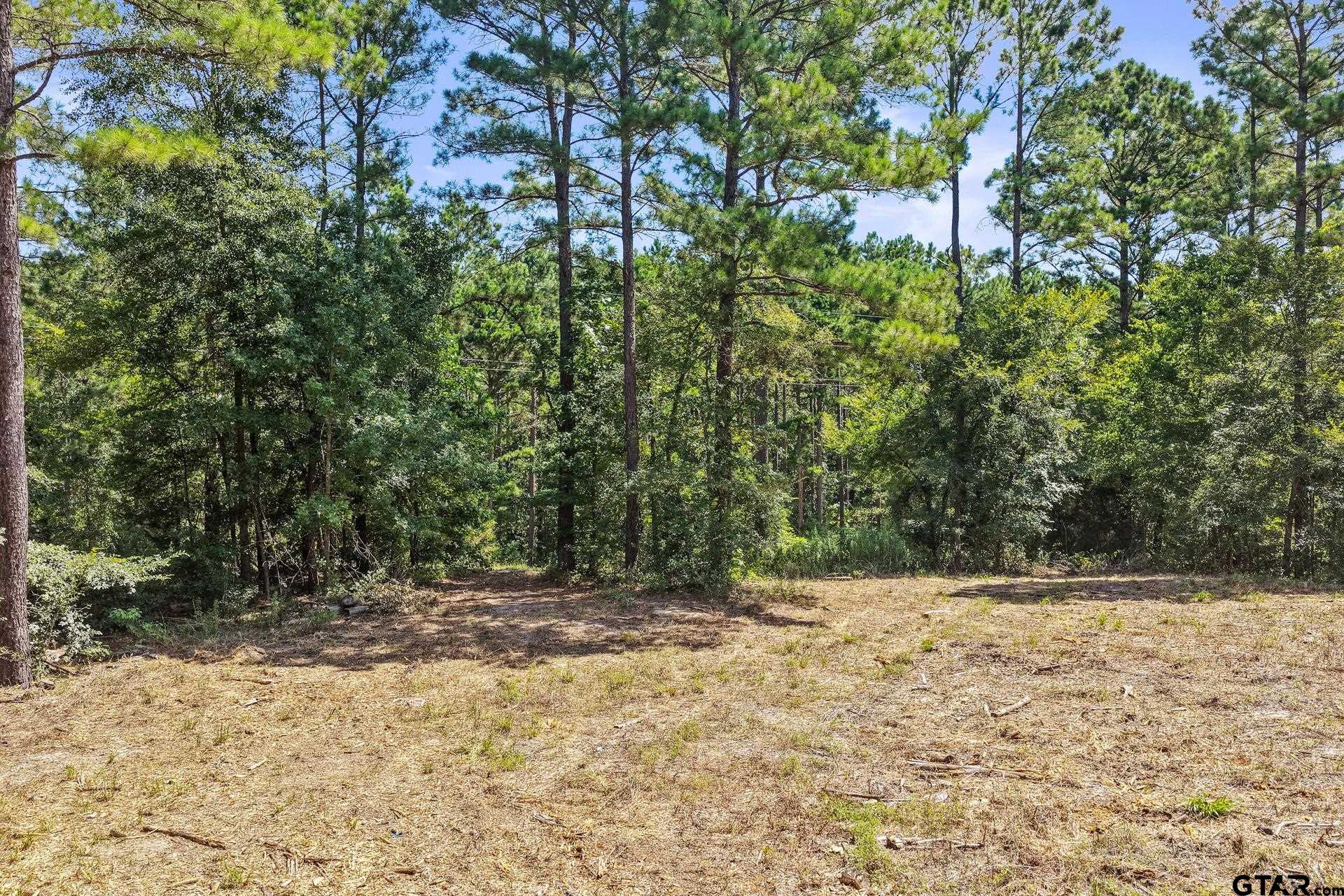 Lot 1 County Road 1240