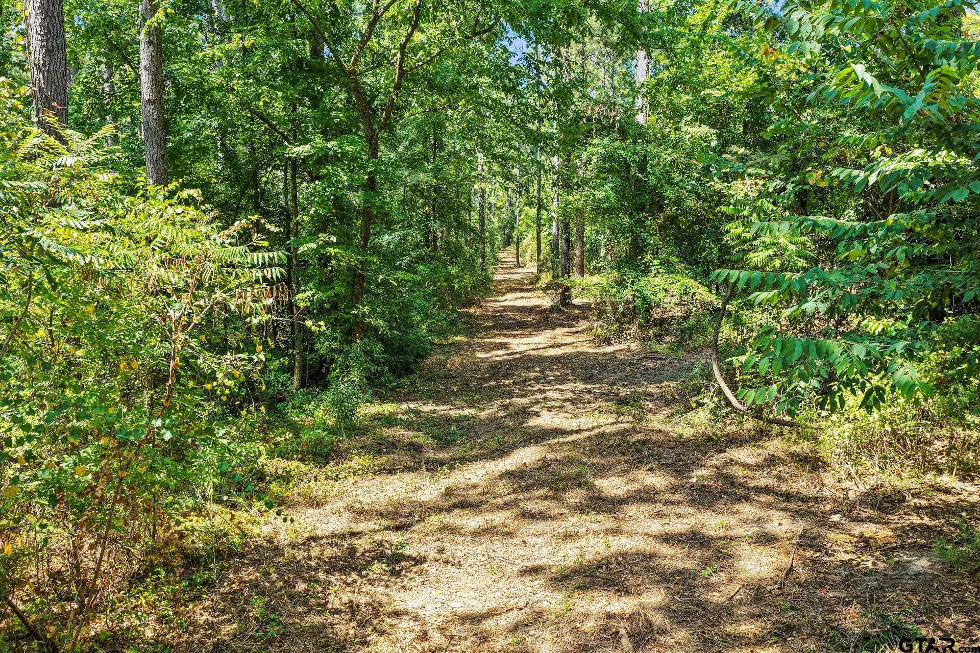 Lot 1 County Road 1240