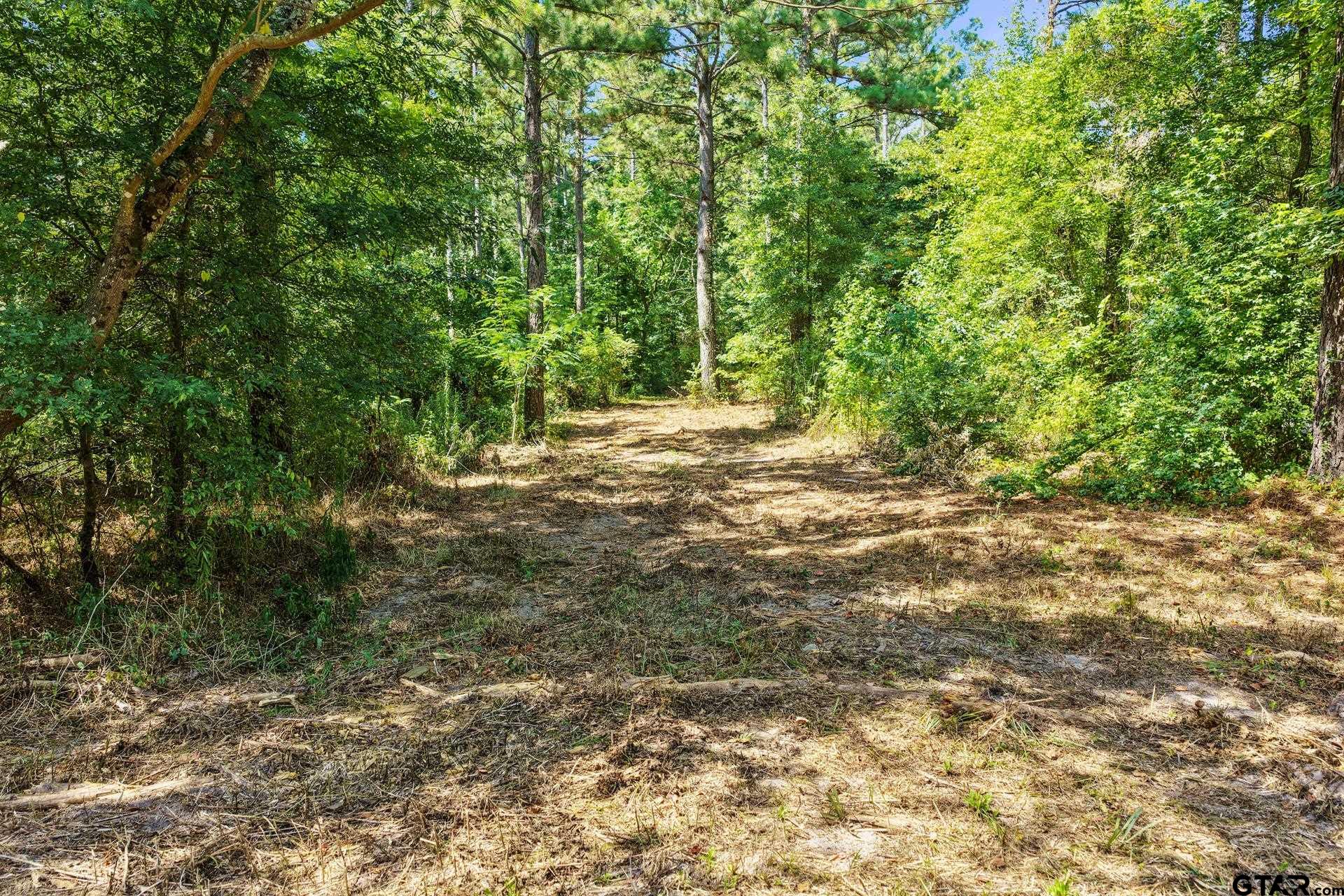 Lot 1 County Road 1240