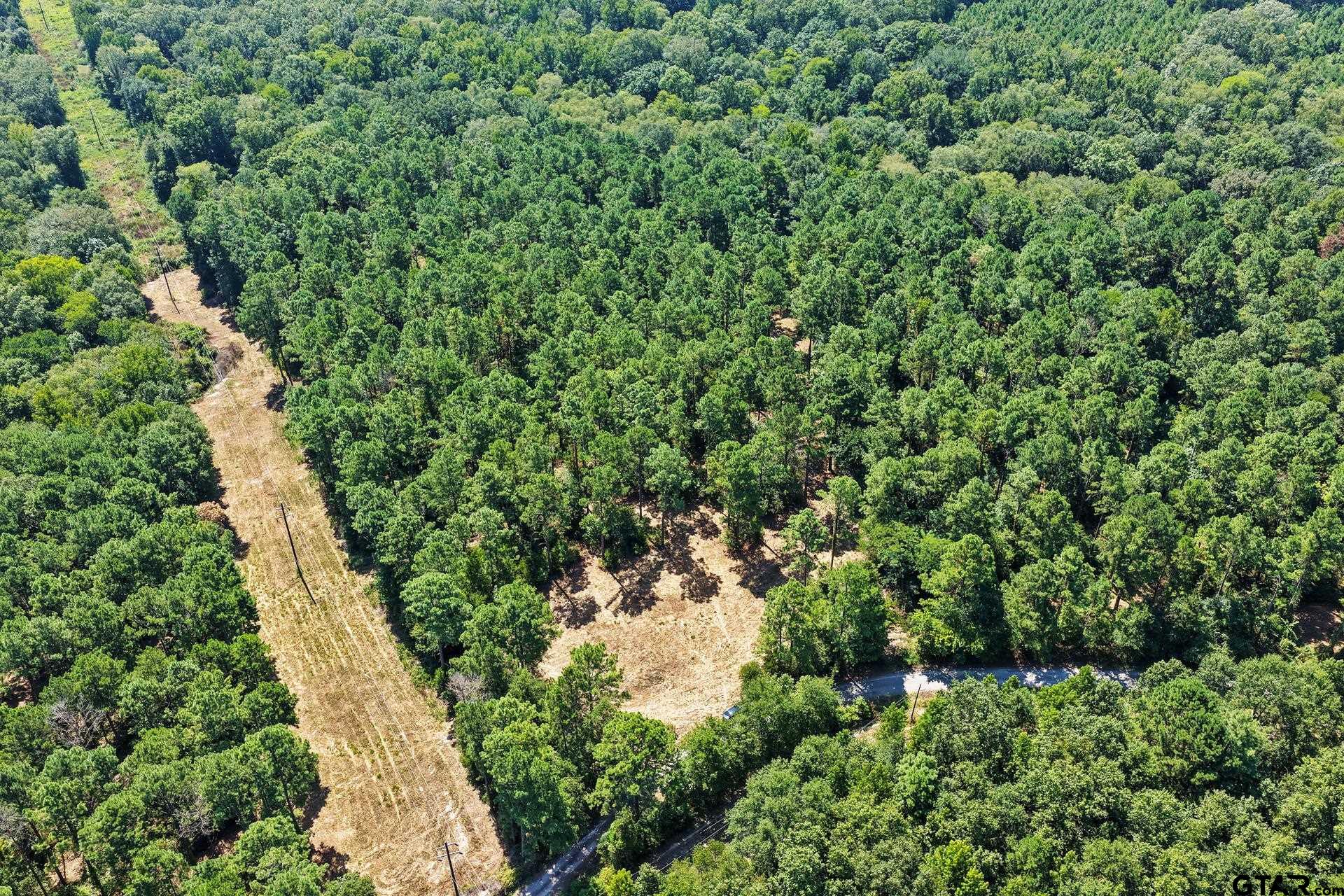 Lot 1 County Road 1240