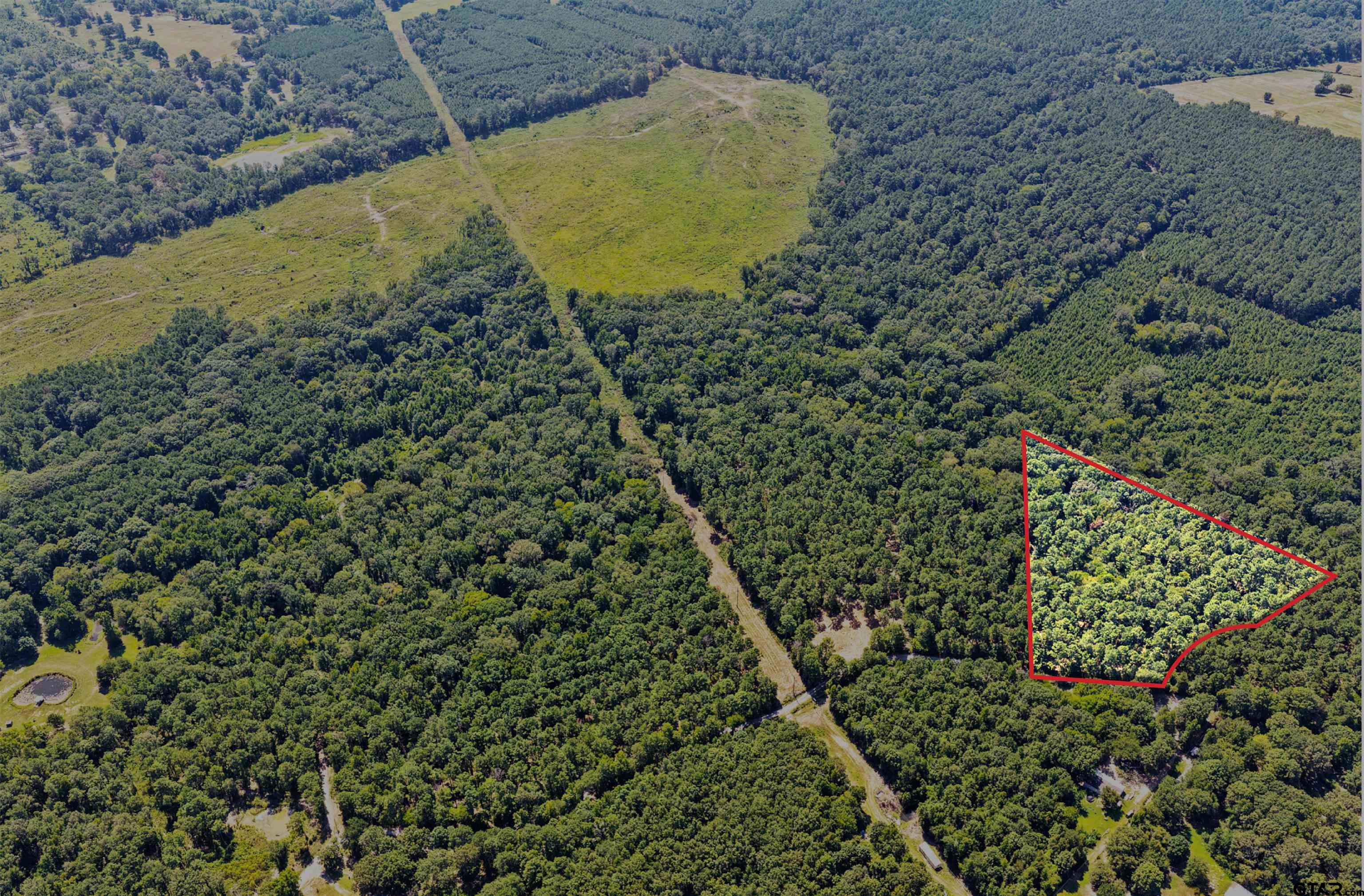 Lot 1 County Road 1240