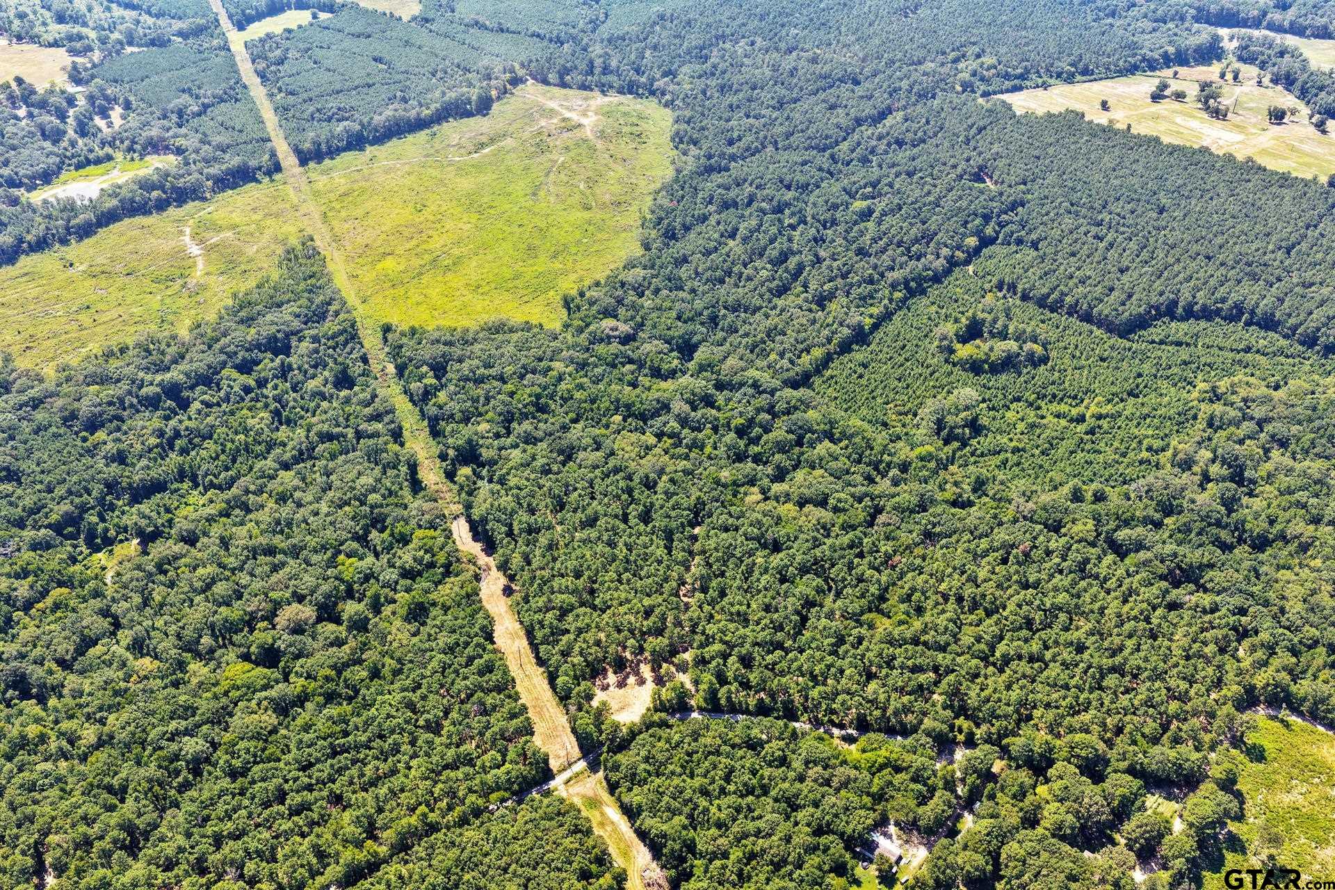 Lot 1 County Road 1240