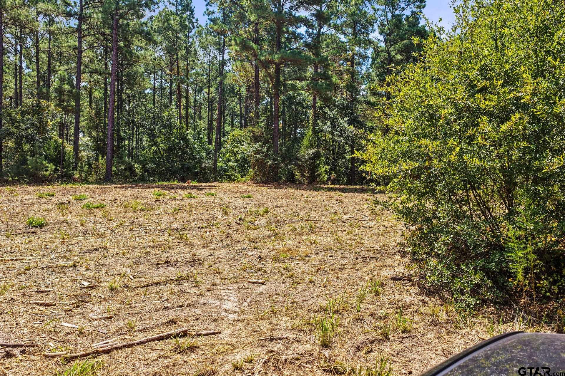 Lot 1 County Road 1240