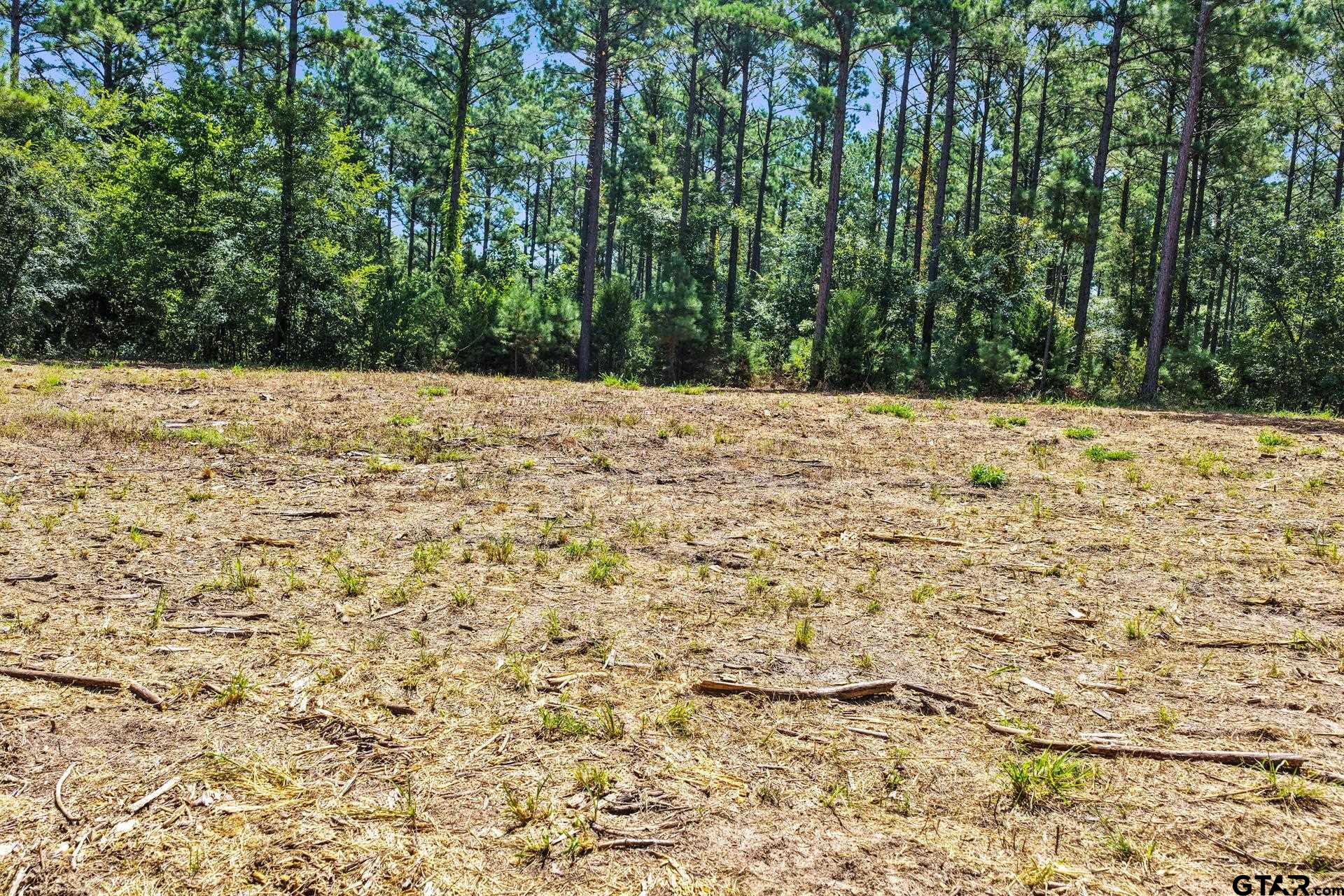 Lot 1 County Road 1240